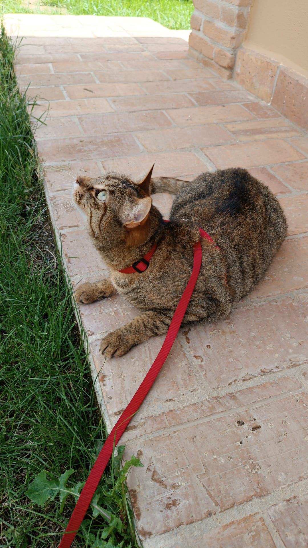 image-9