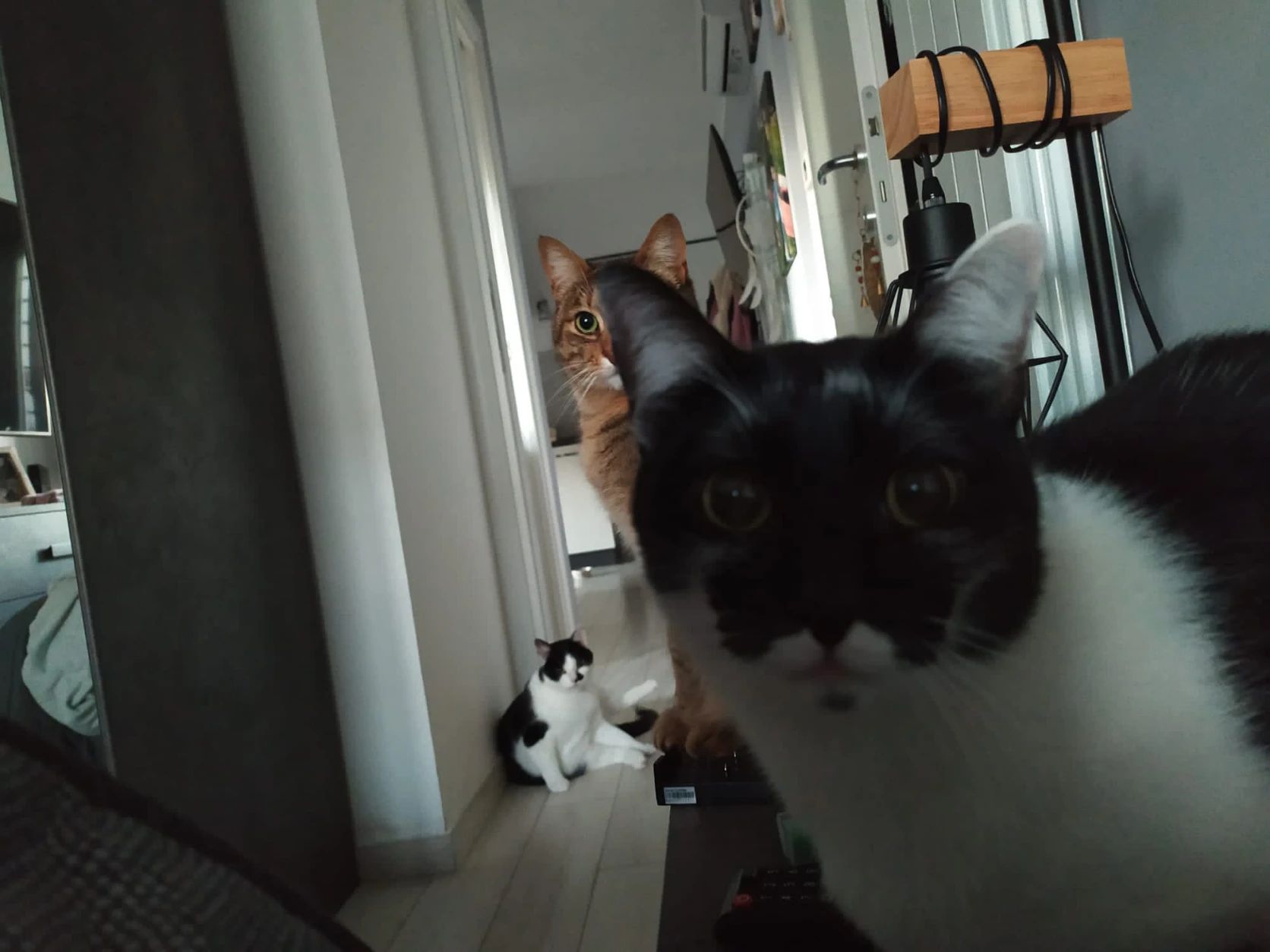 image-10