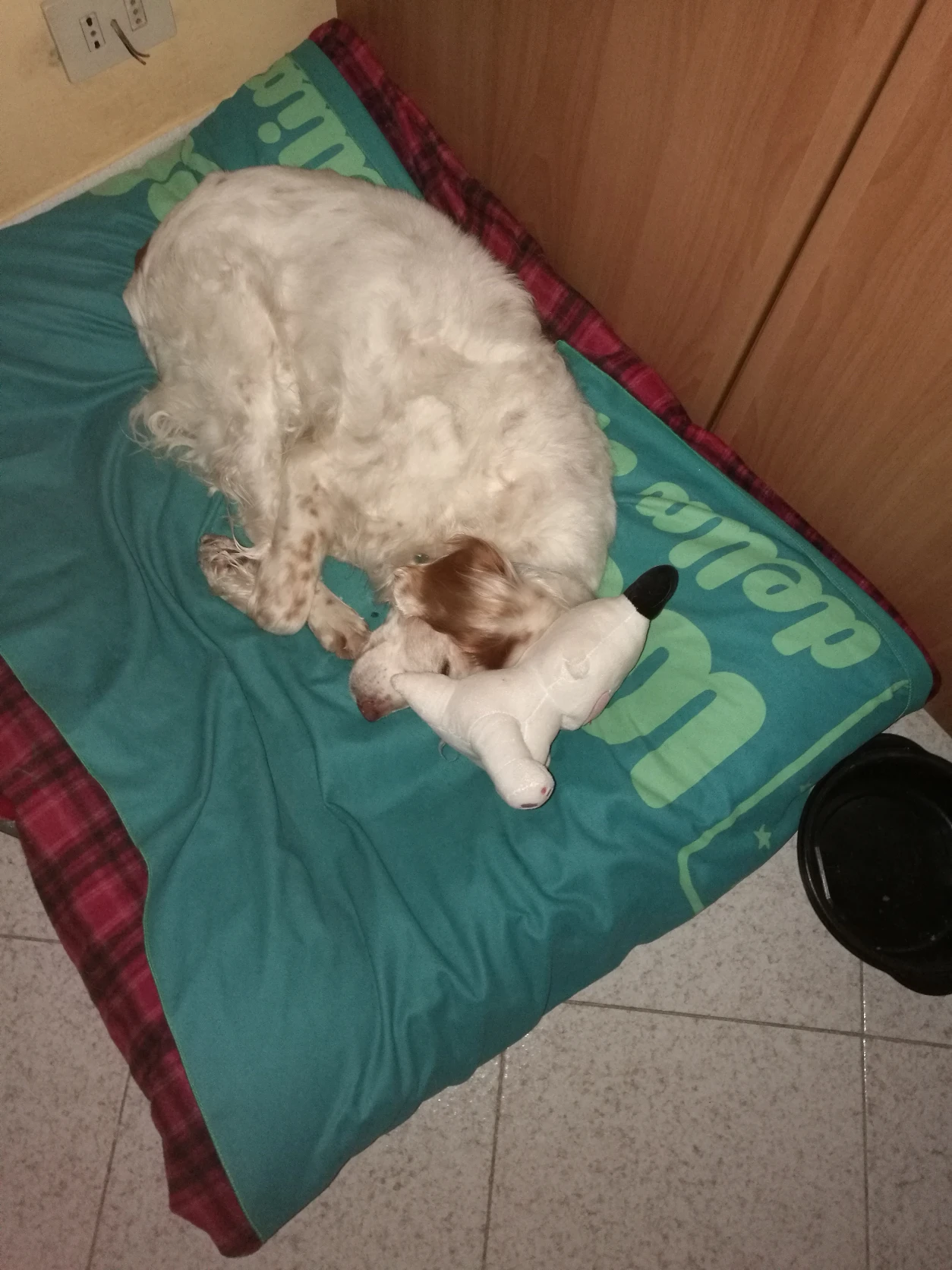image-13