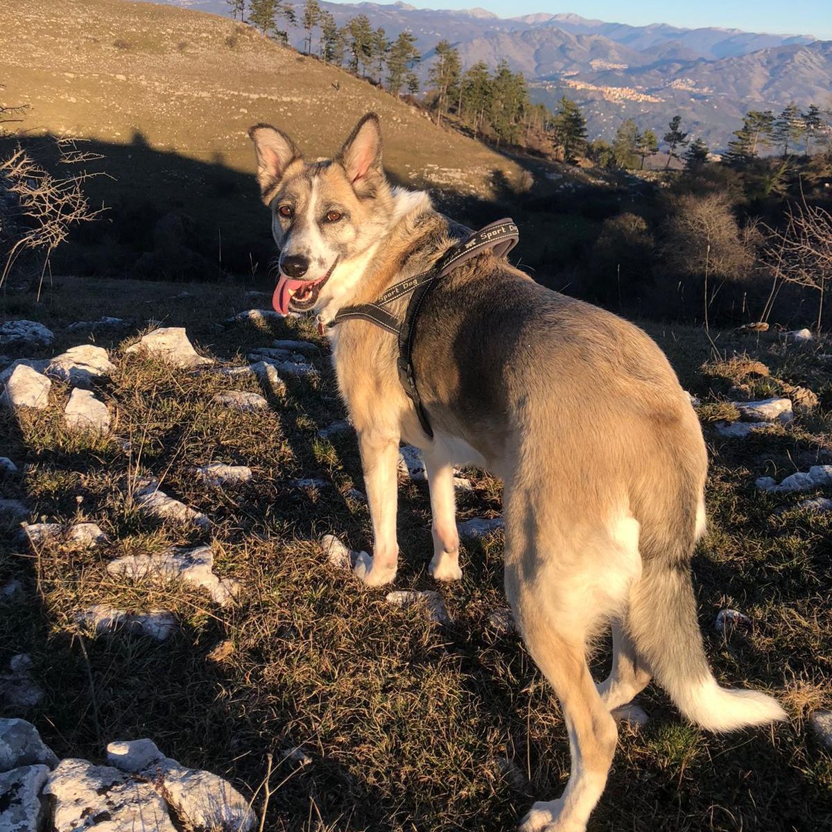 Nina