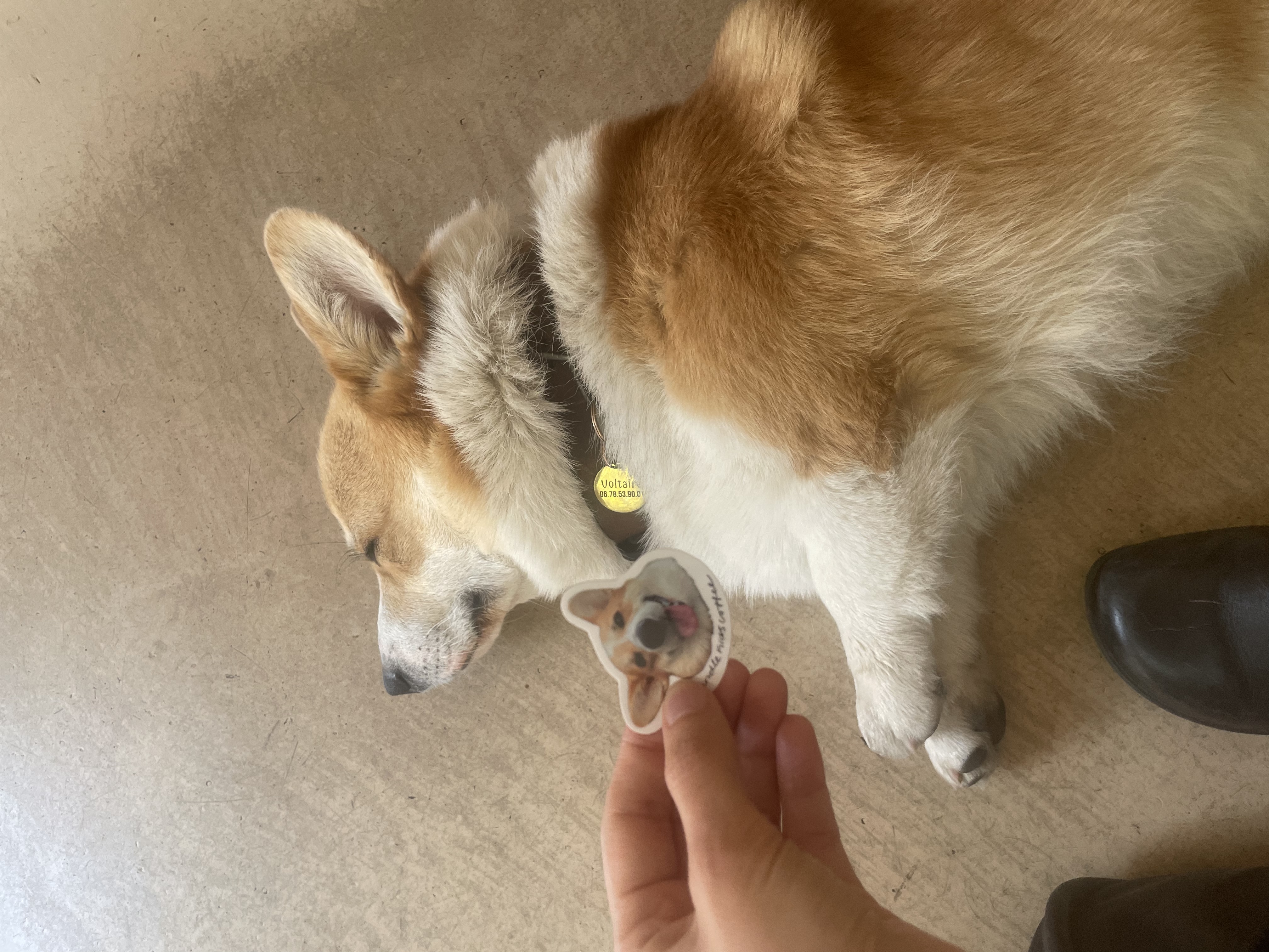 image-6