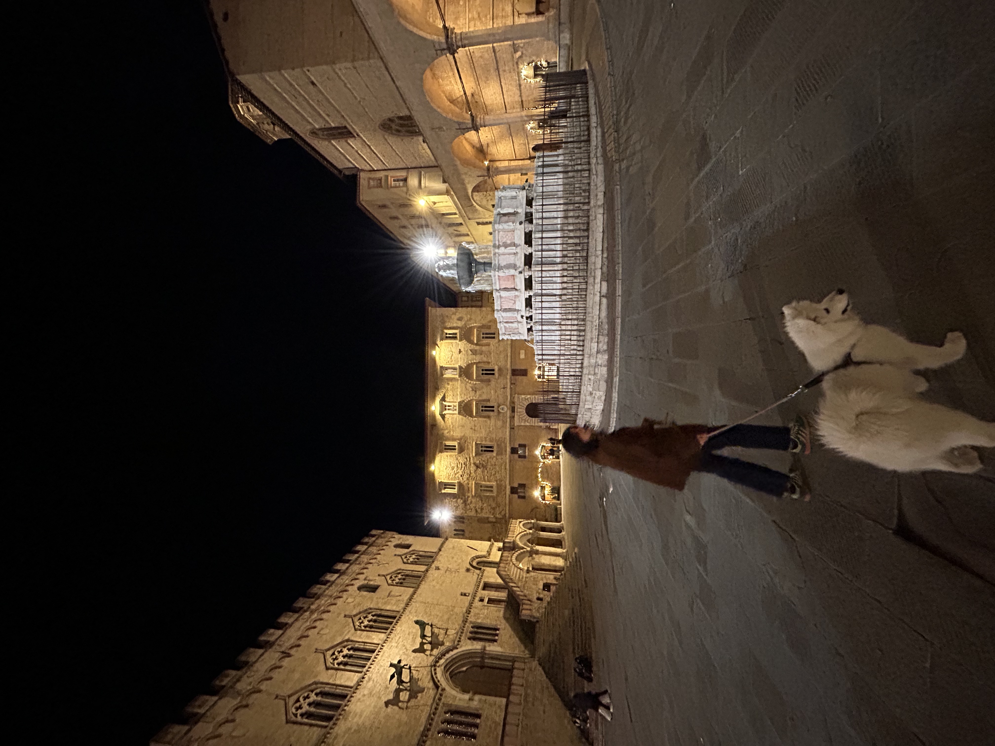 image-14