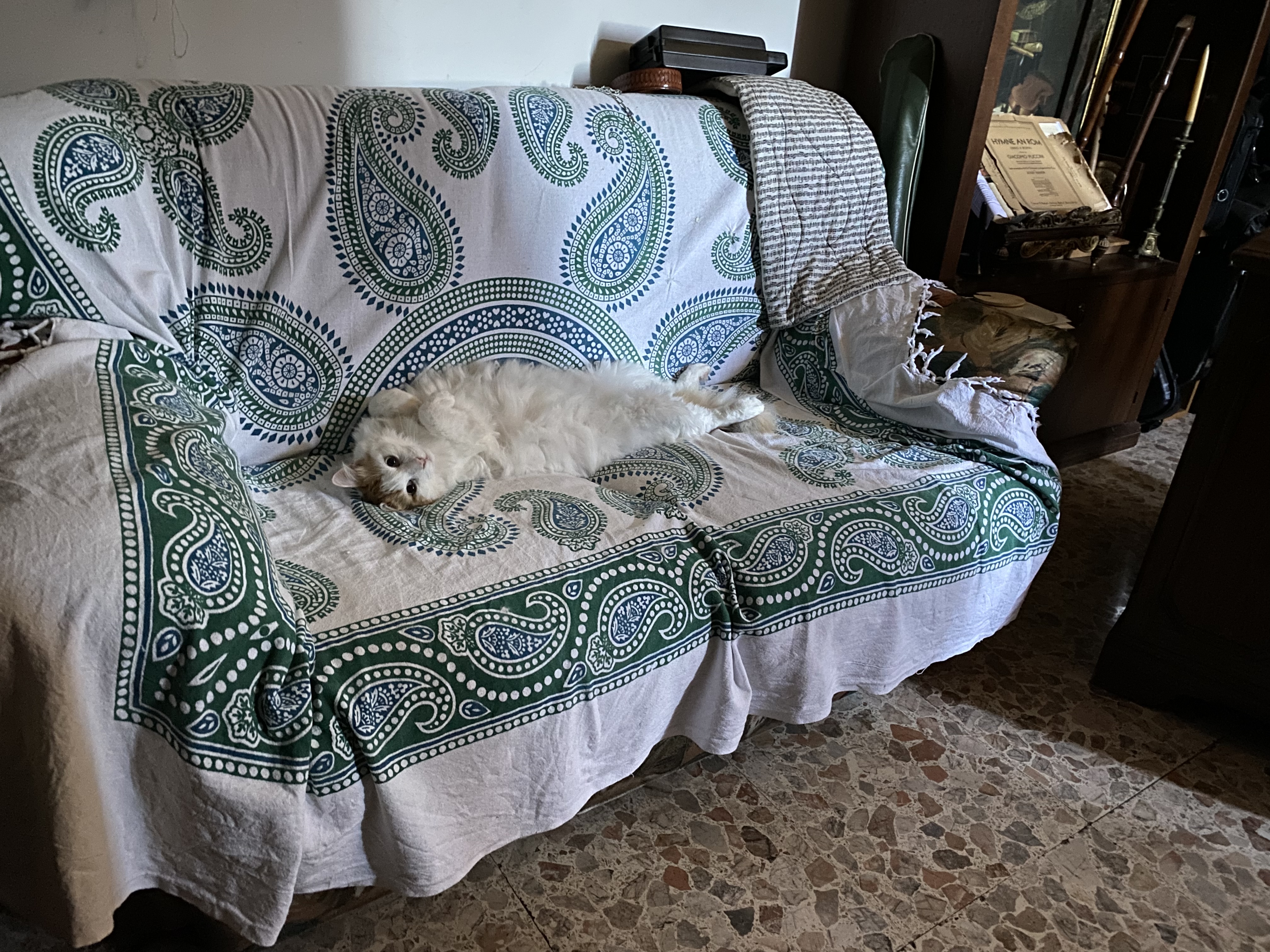 image-16
