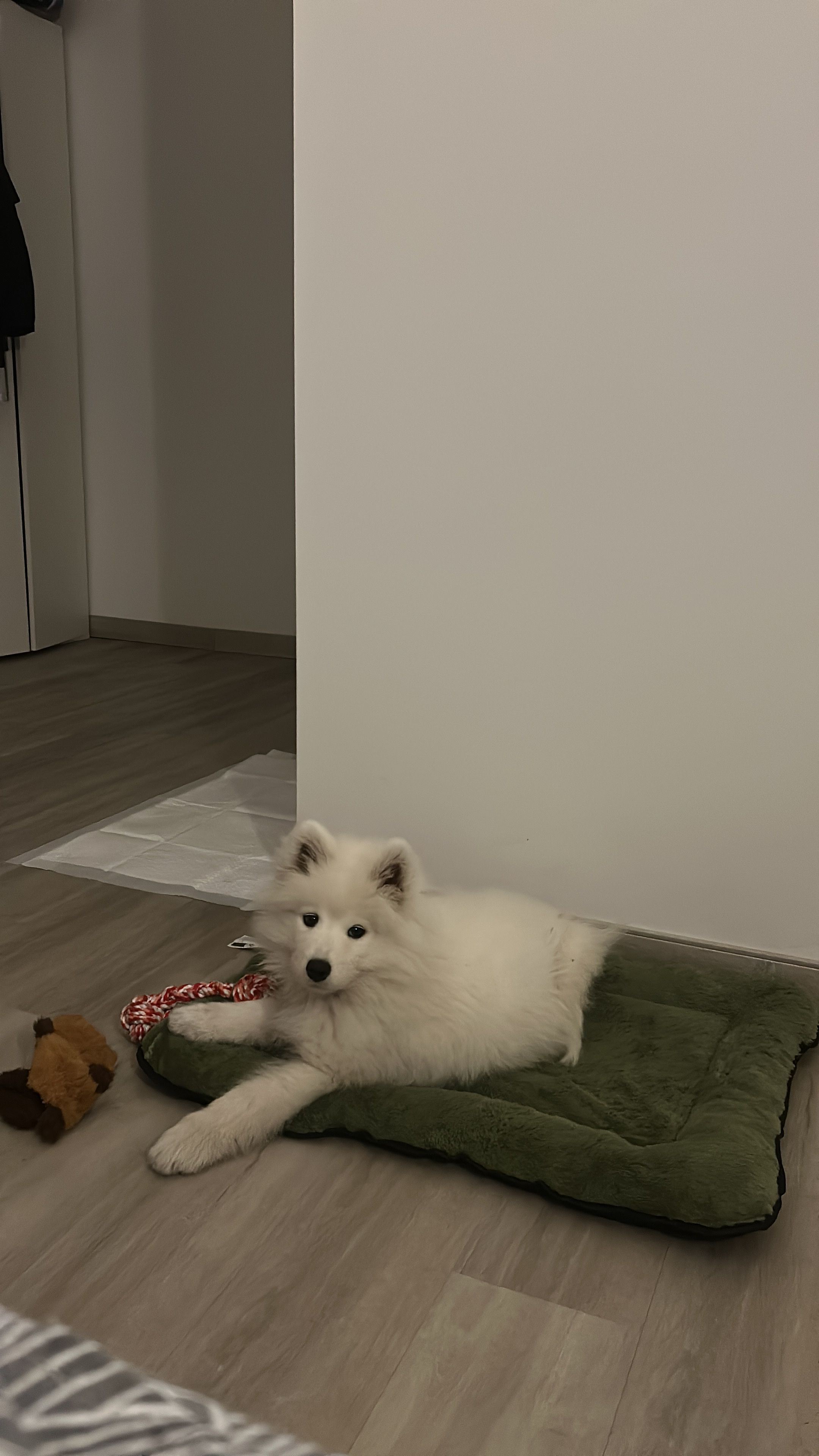 image-17