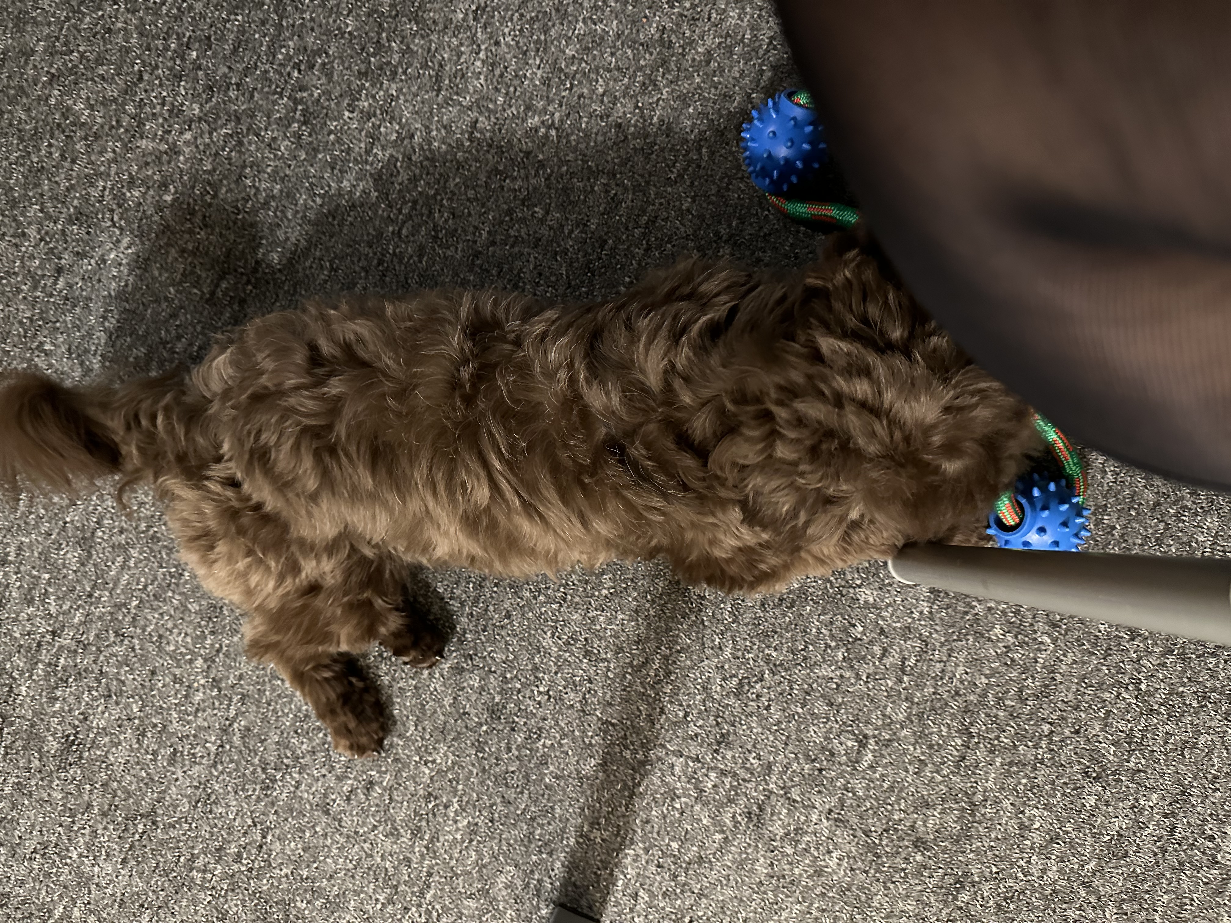 image-6