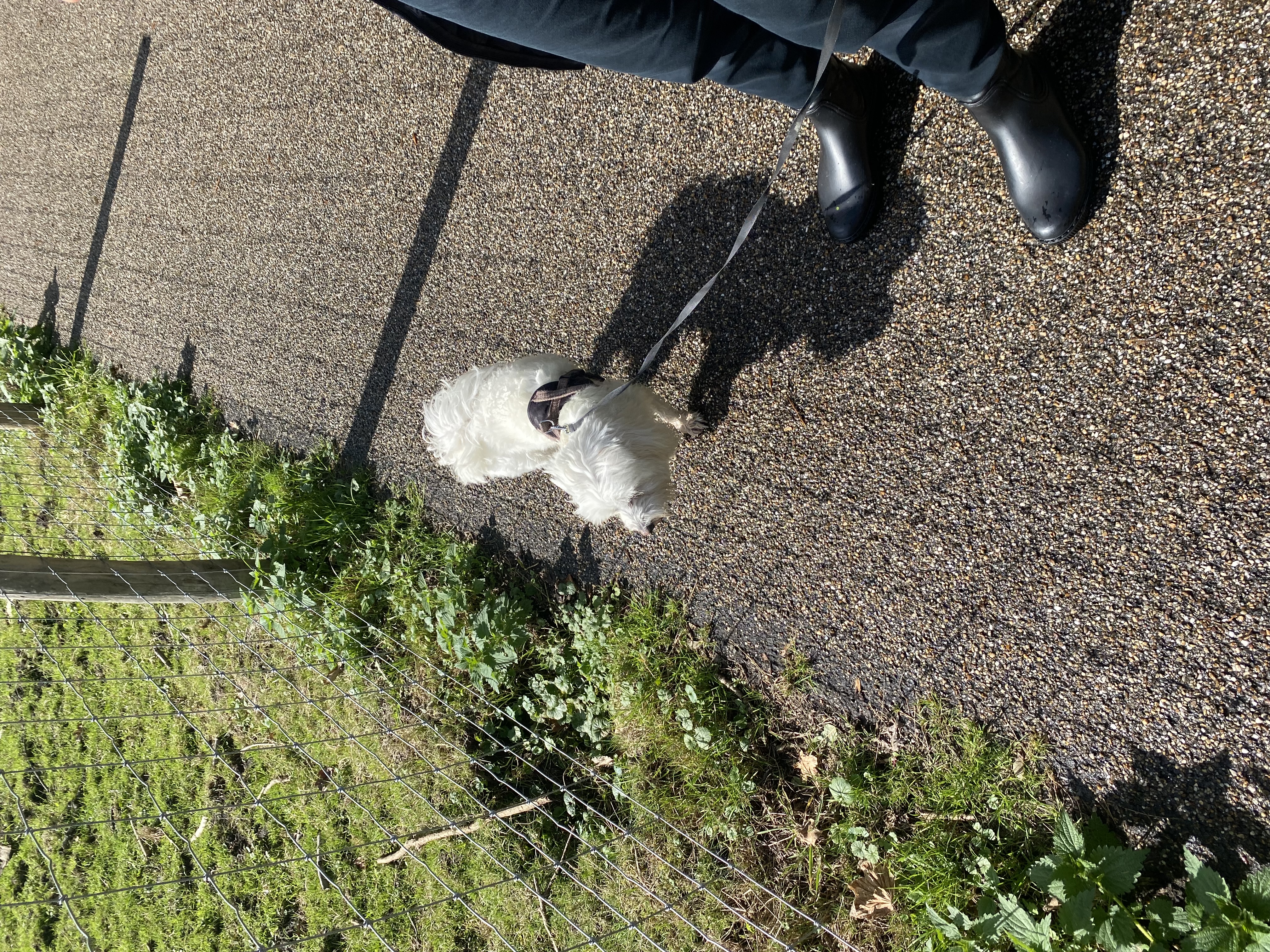 image-8