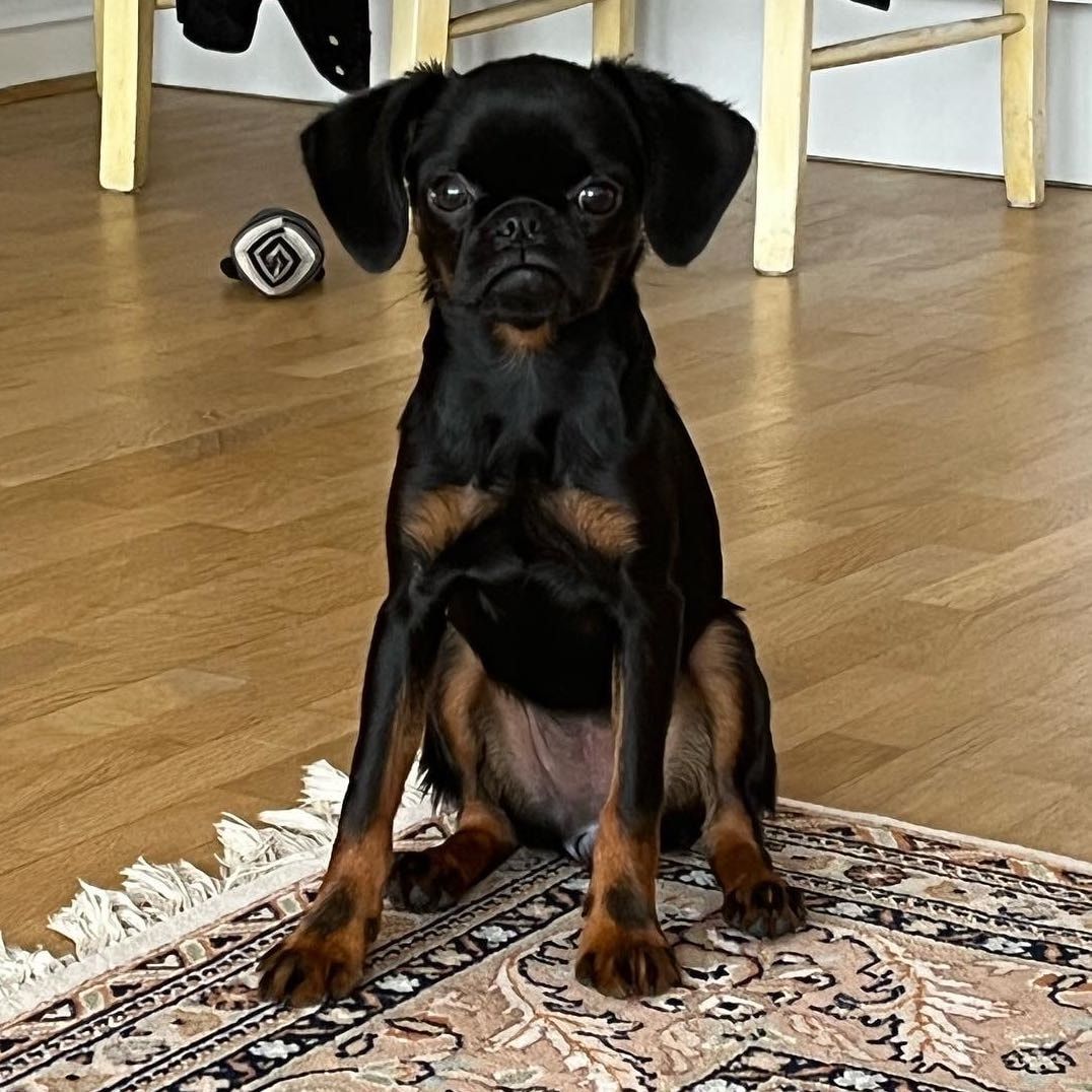 Nena