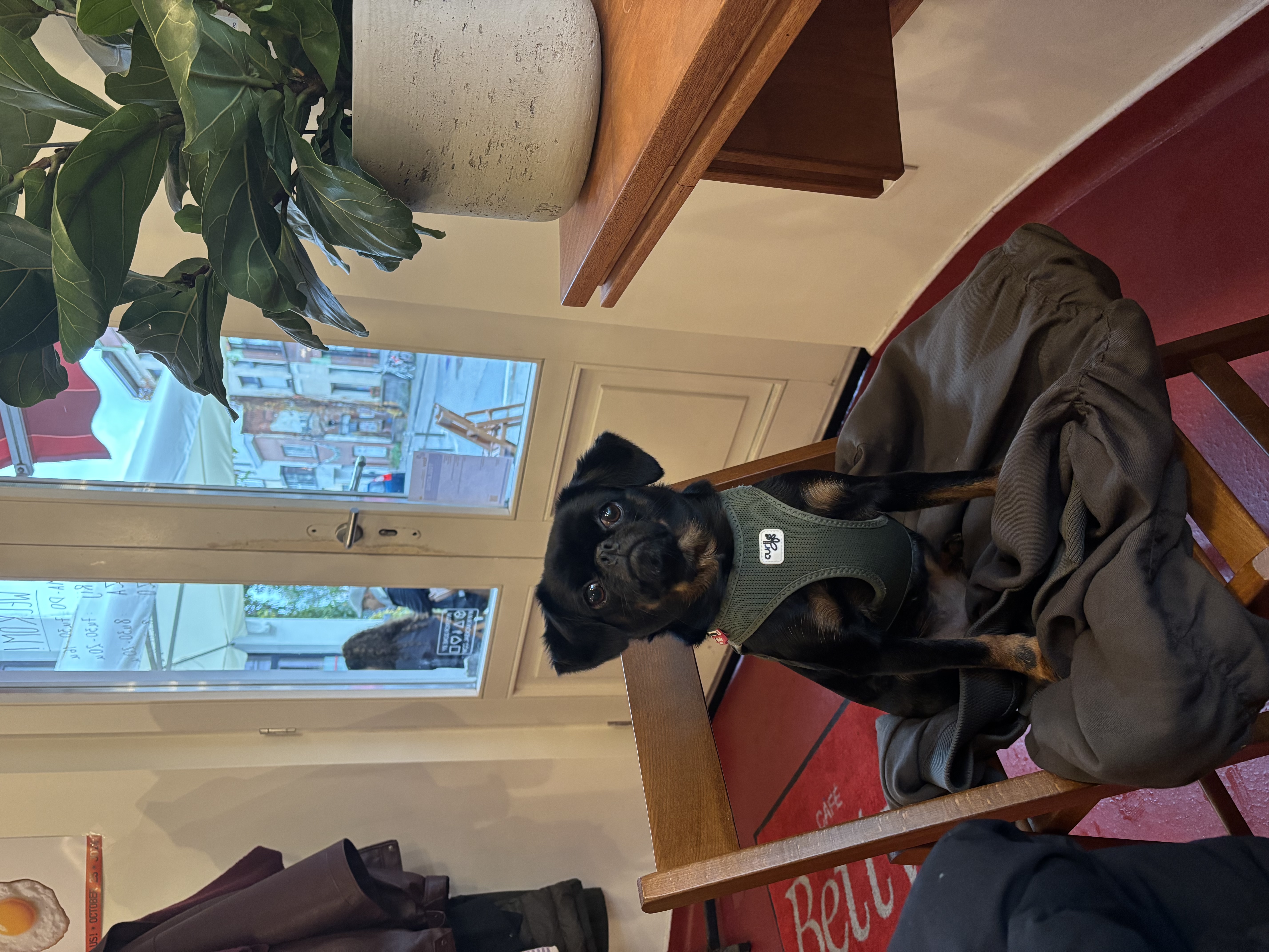 image-12