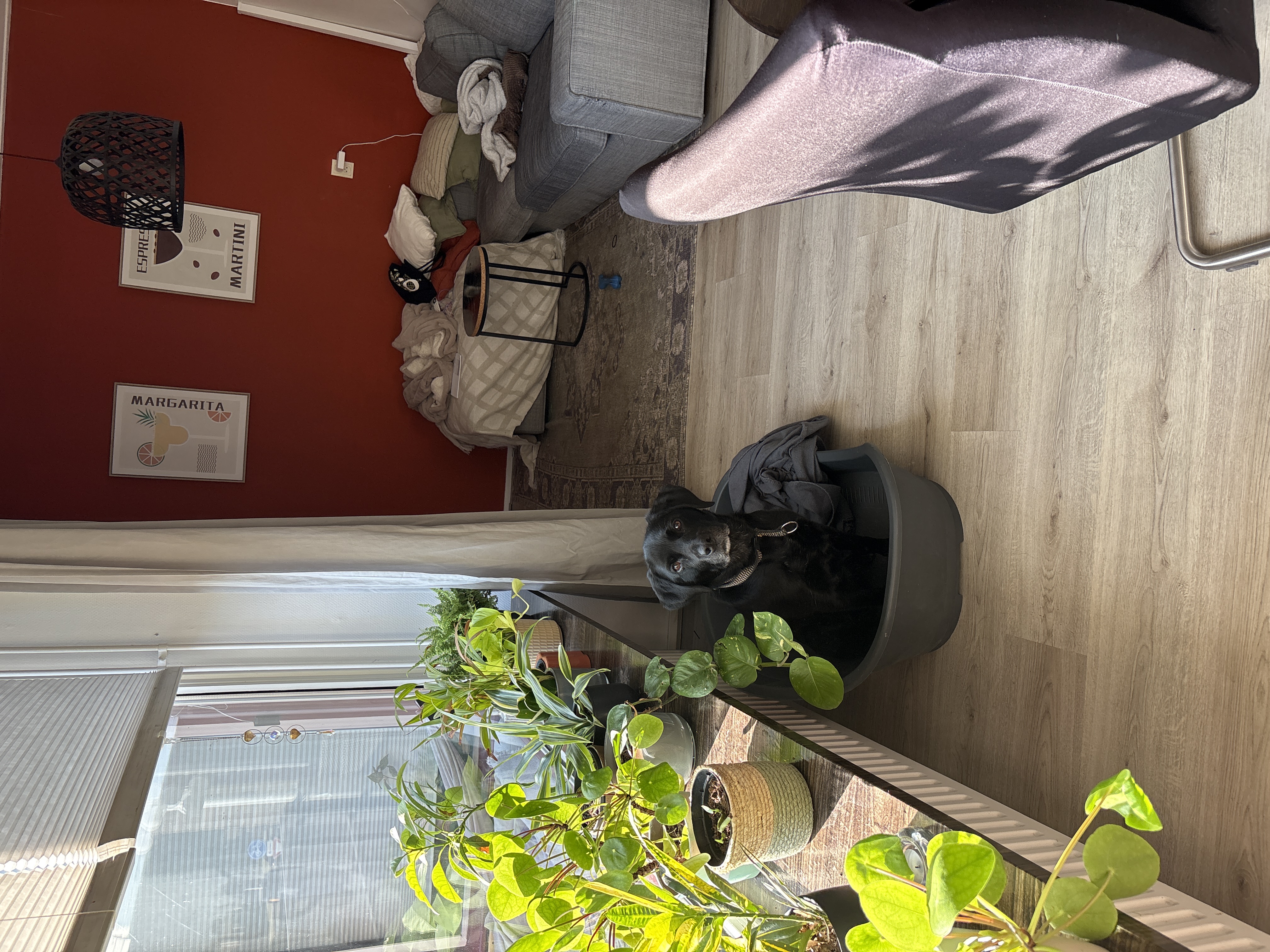 image-17