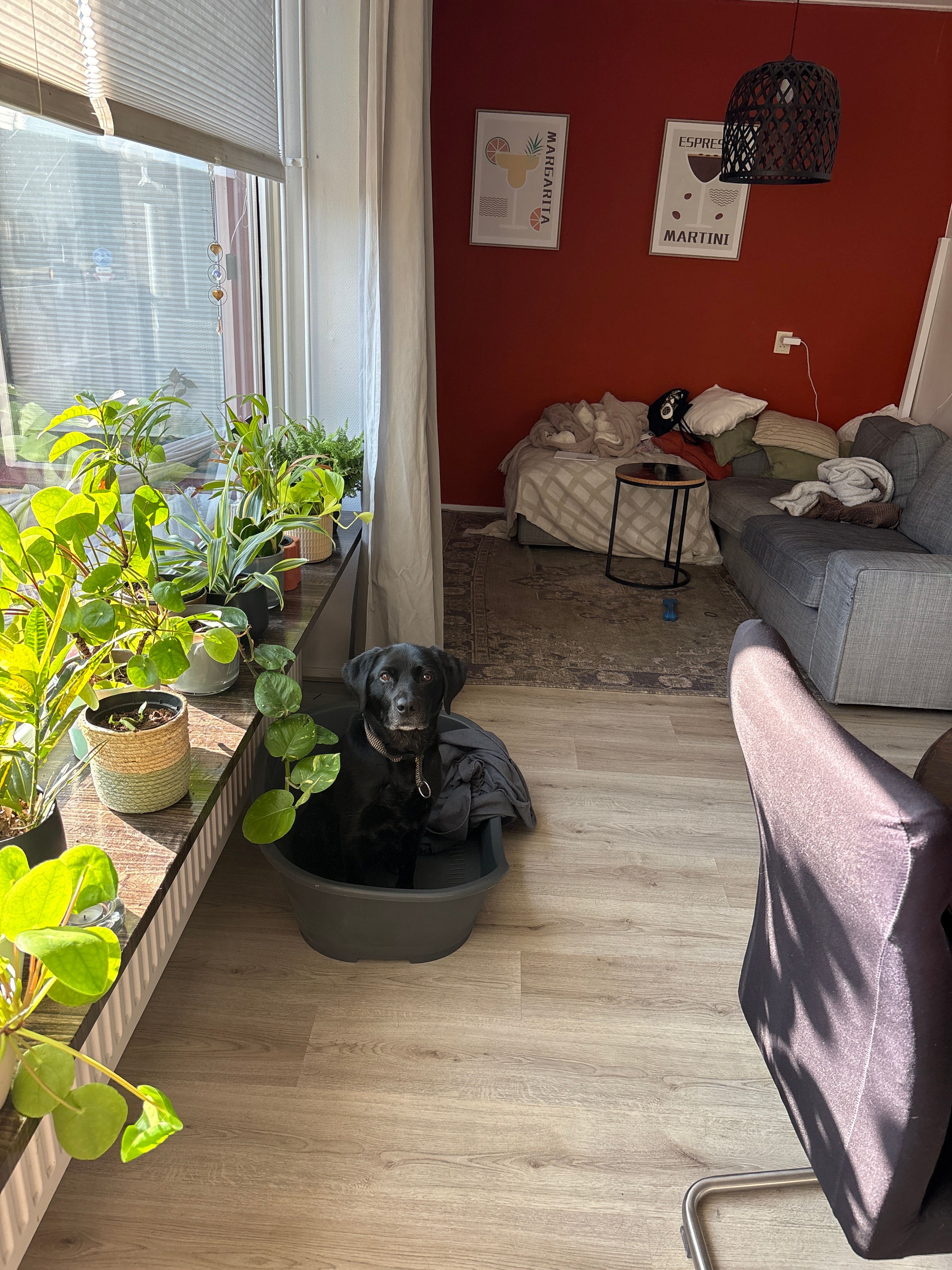 image-17