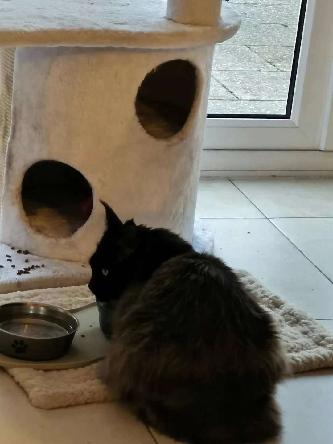 image-0
