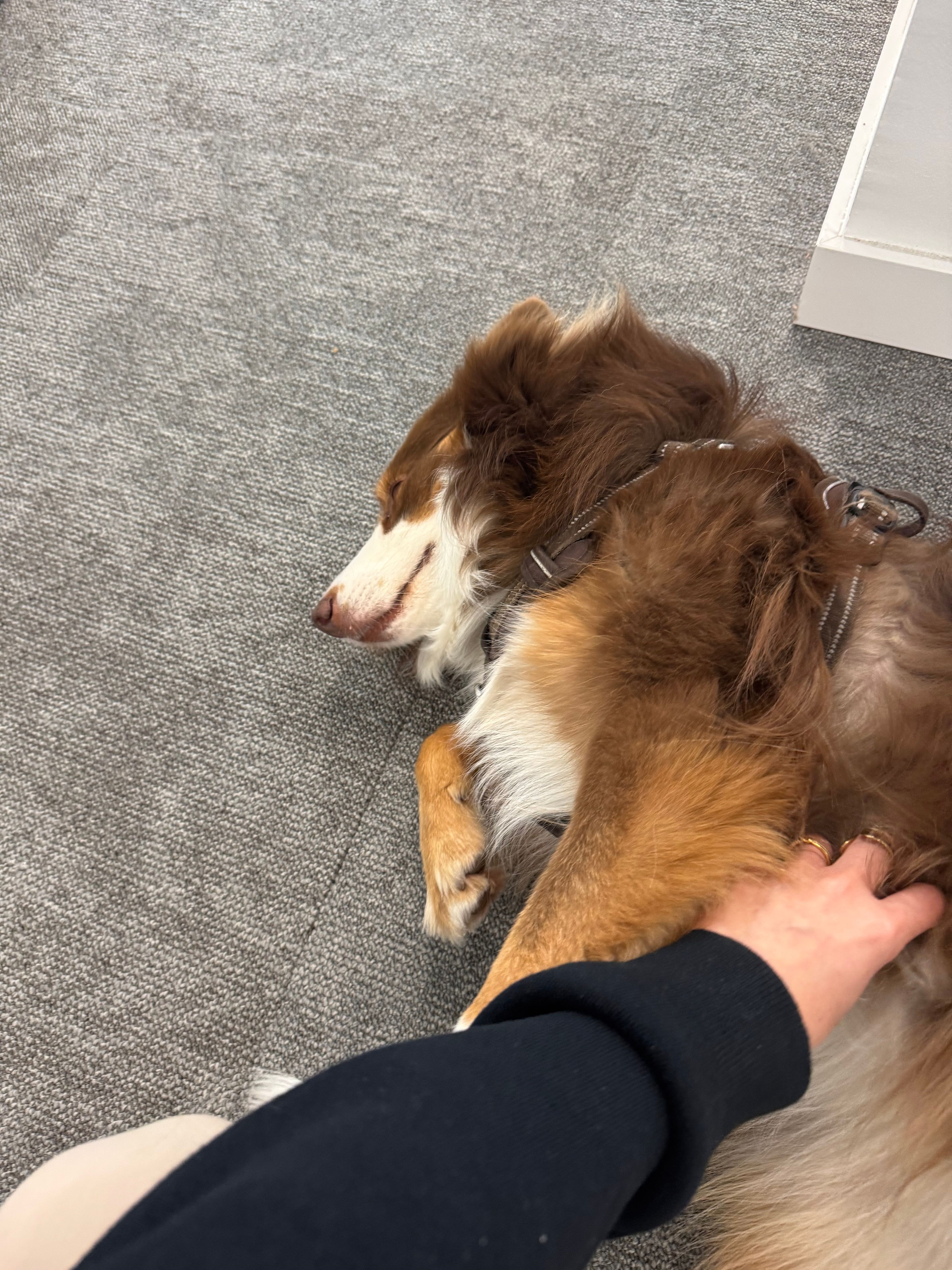 image-6