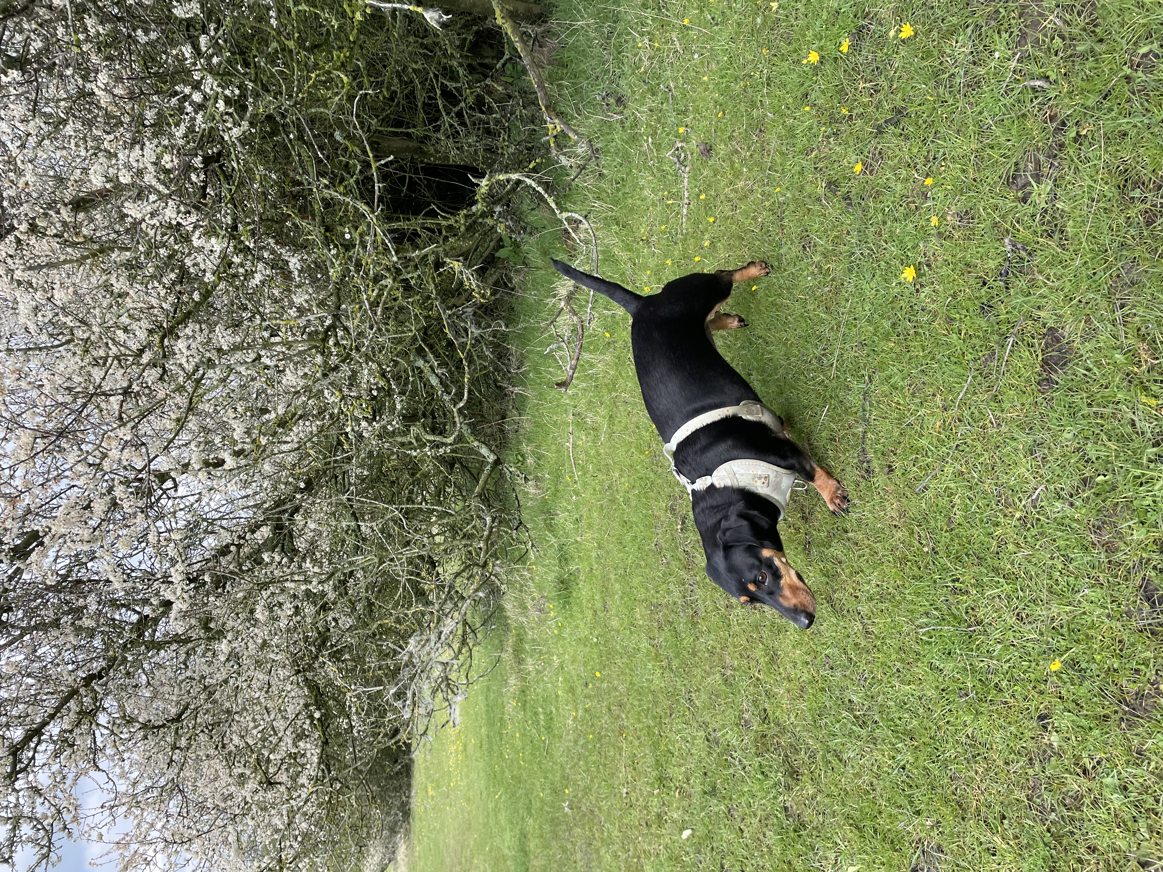 image-6