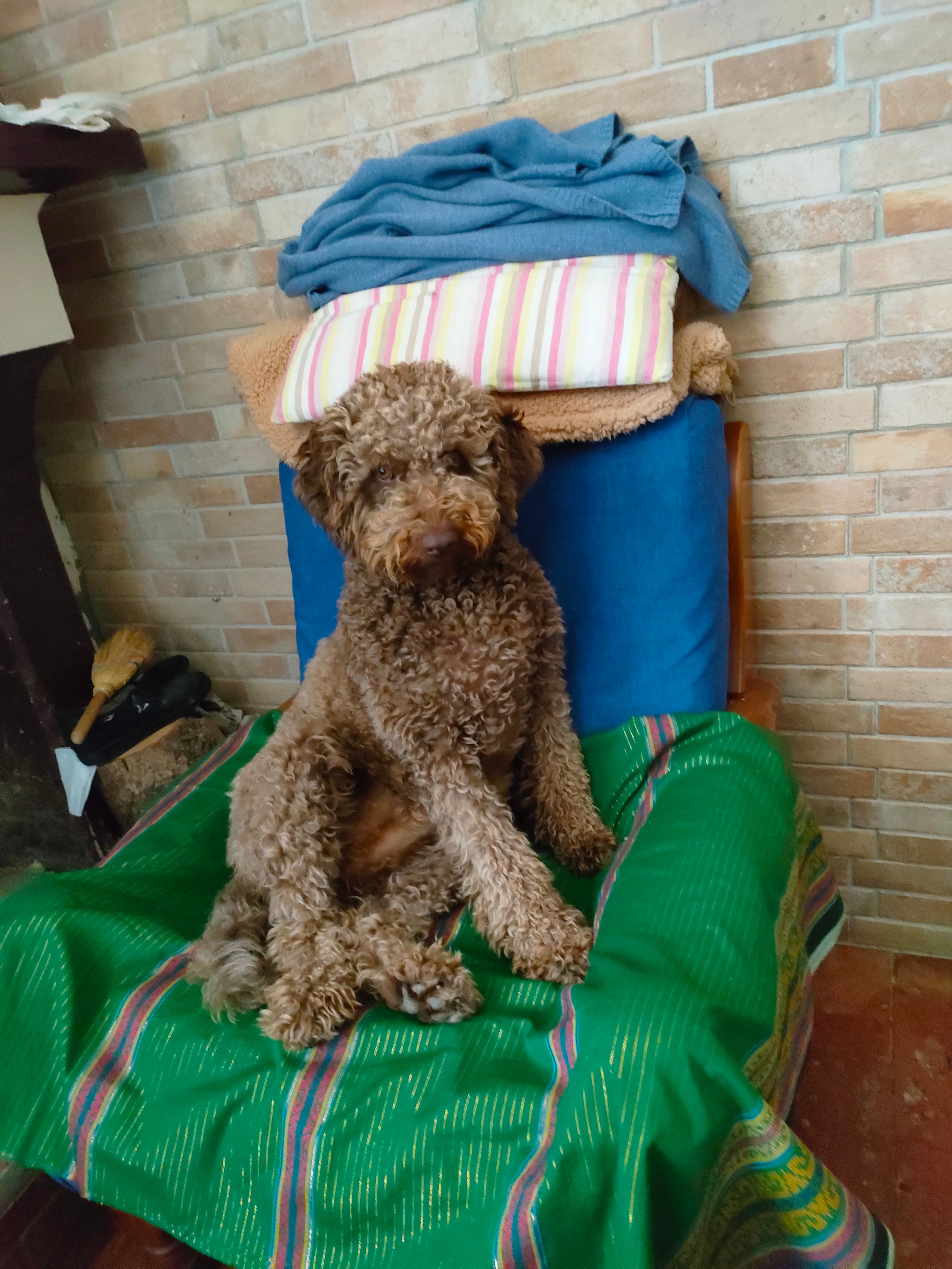 image-6