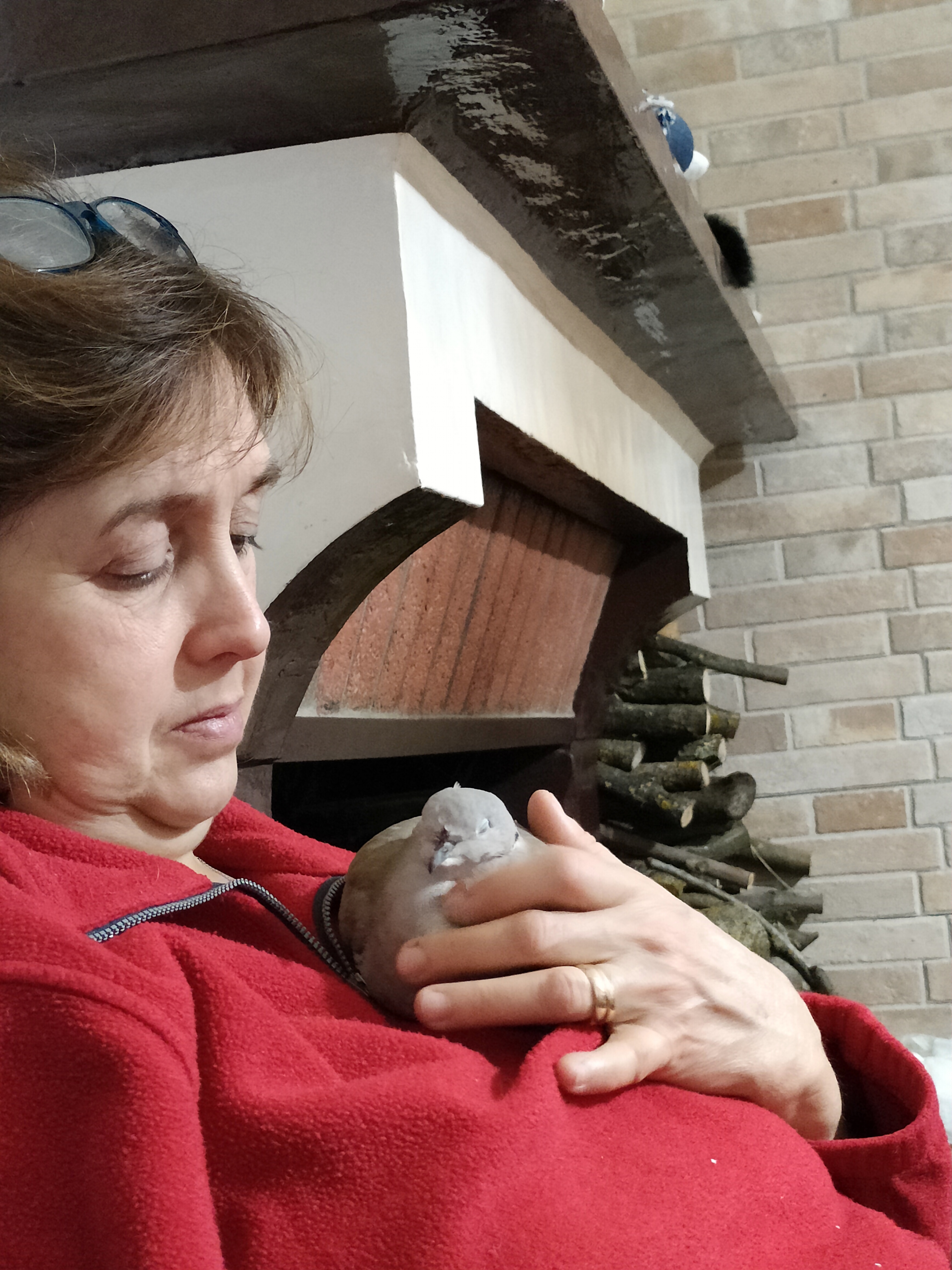 image-14