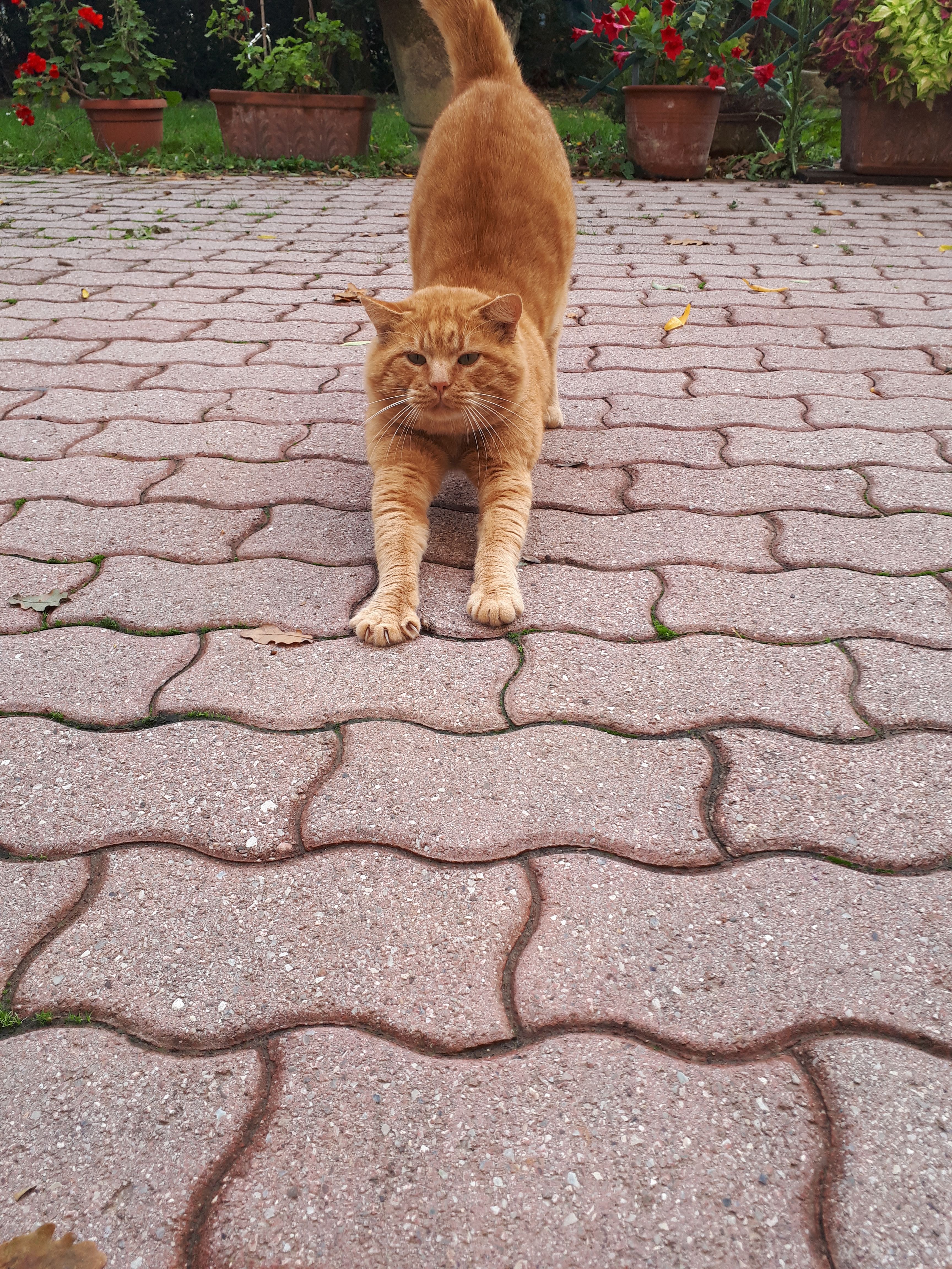 image-7