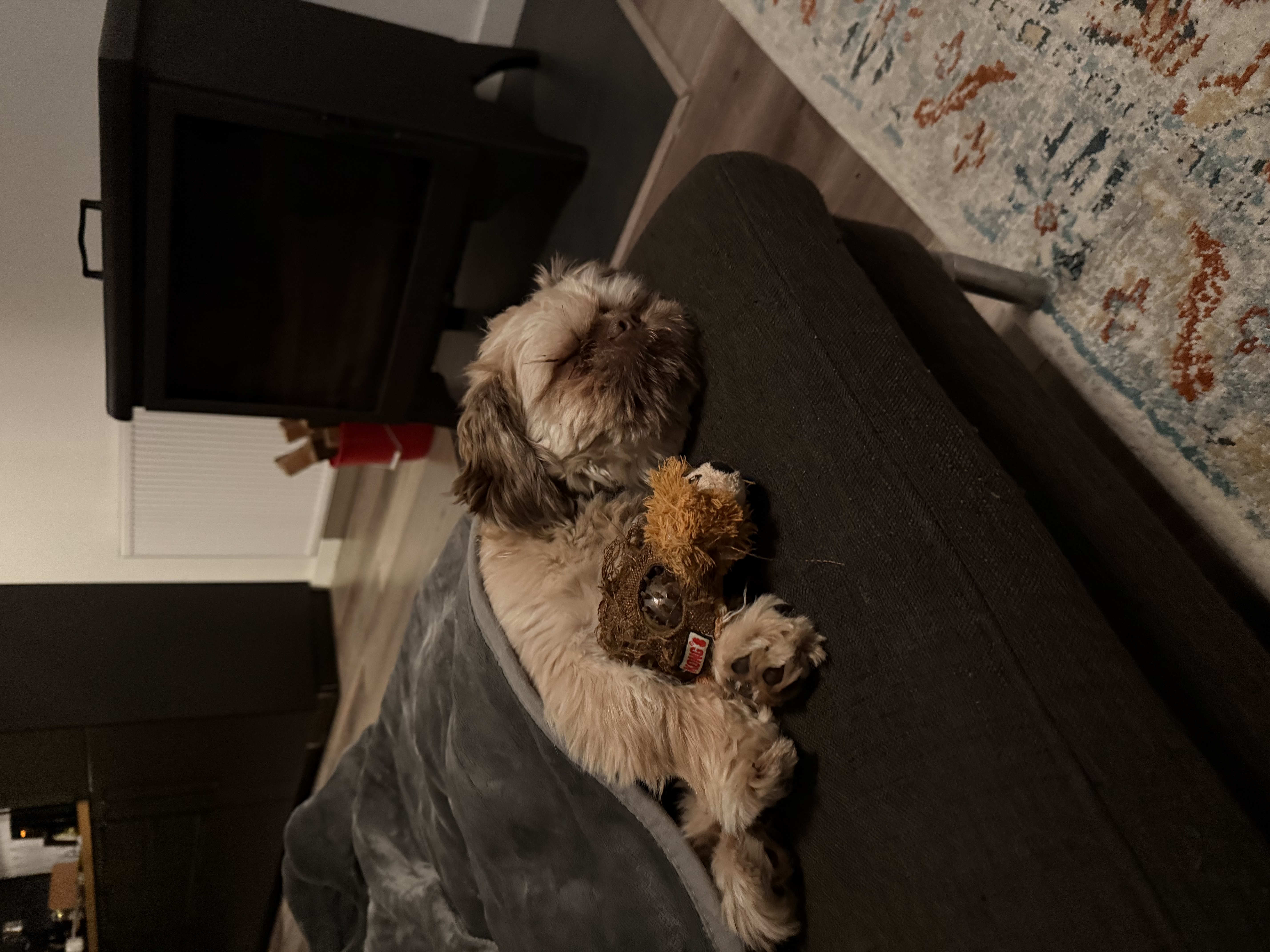 image-12
