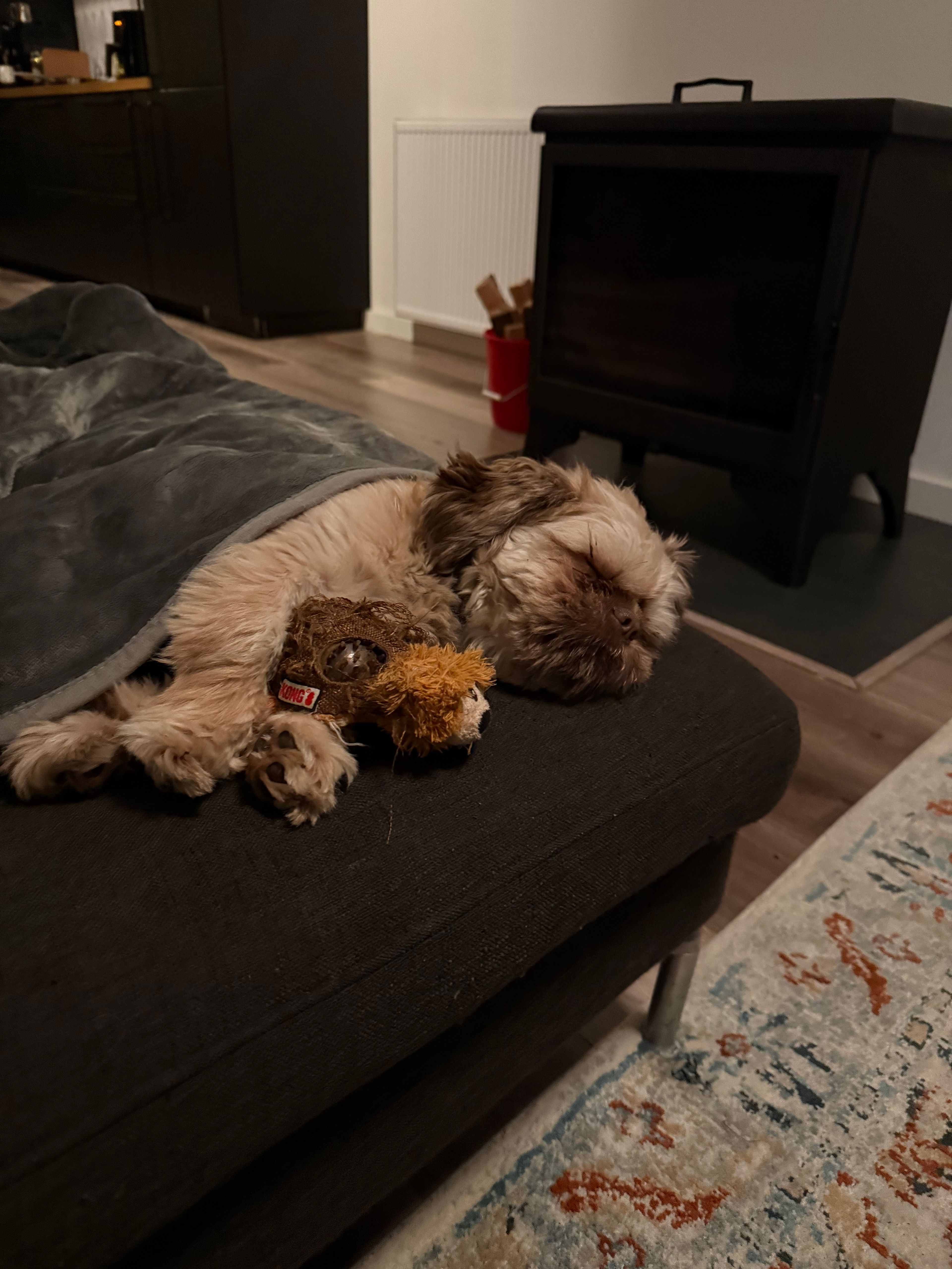 image-12