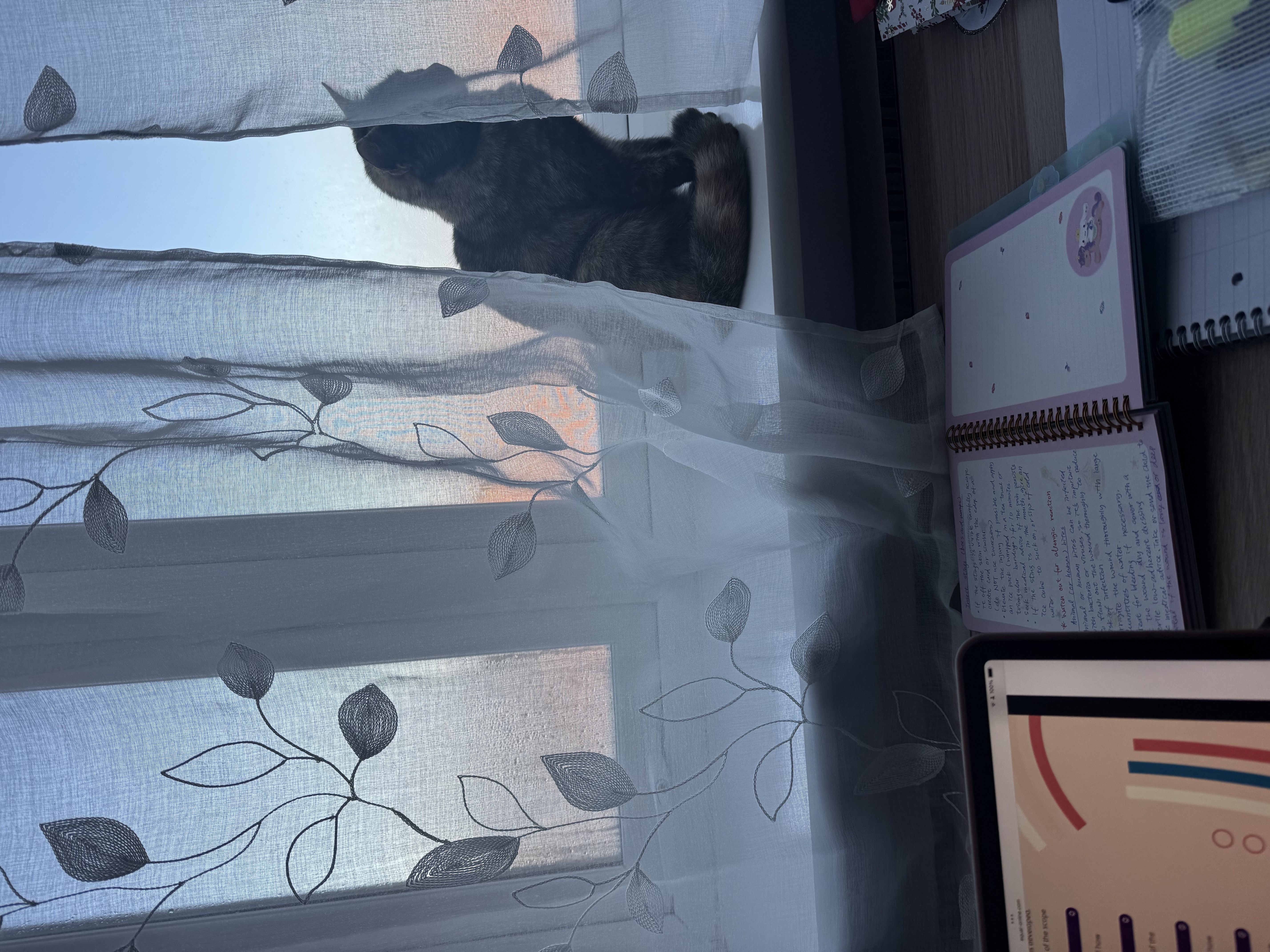 image-7