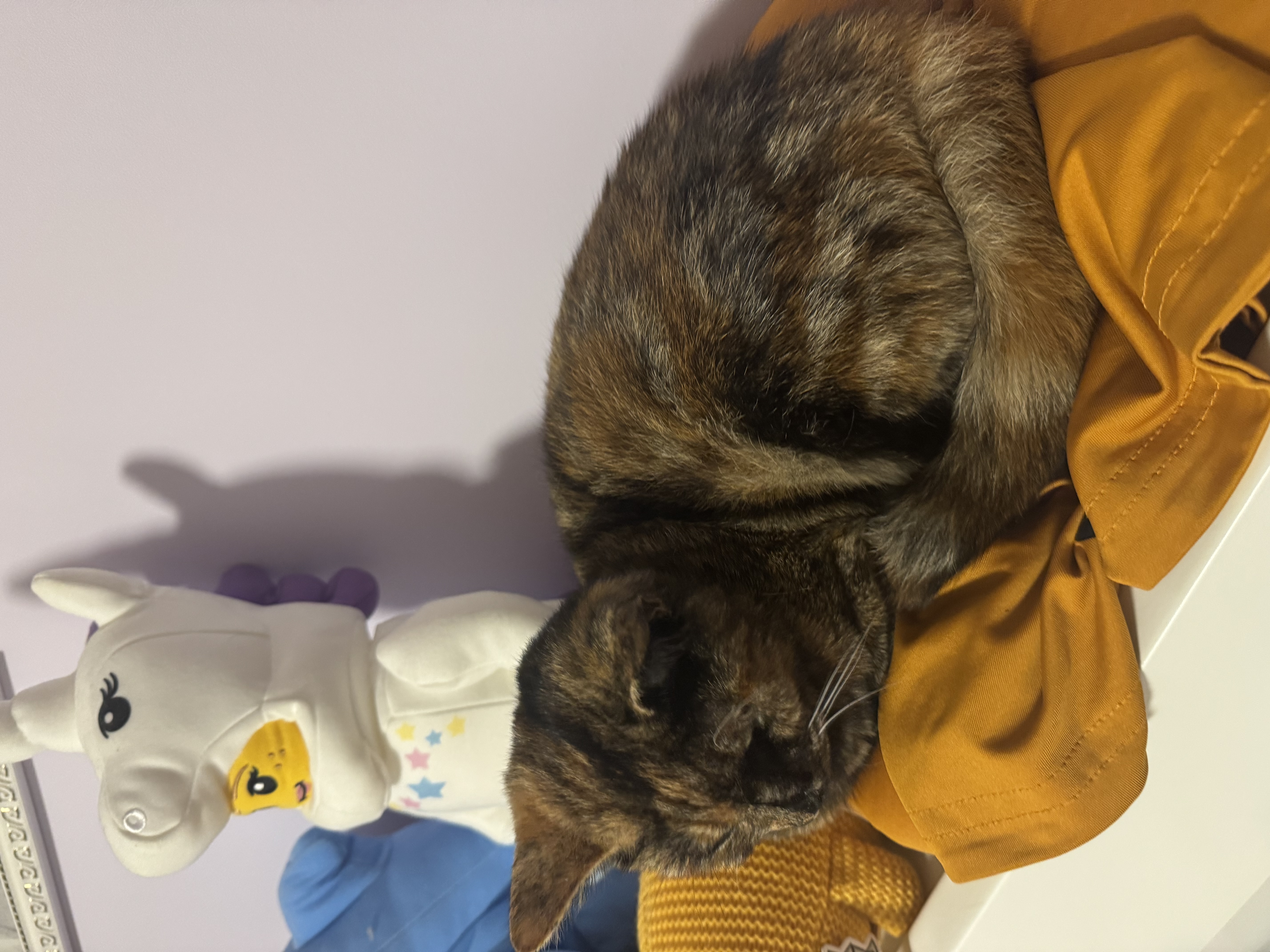 image-8