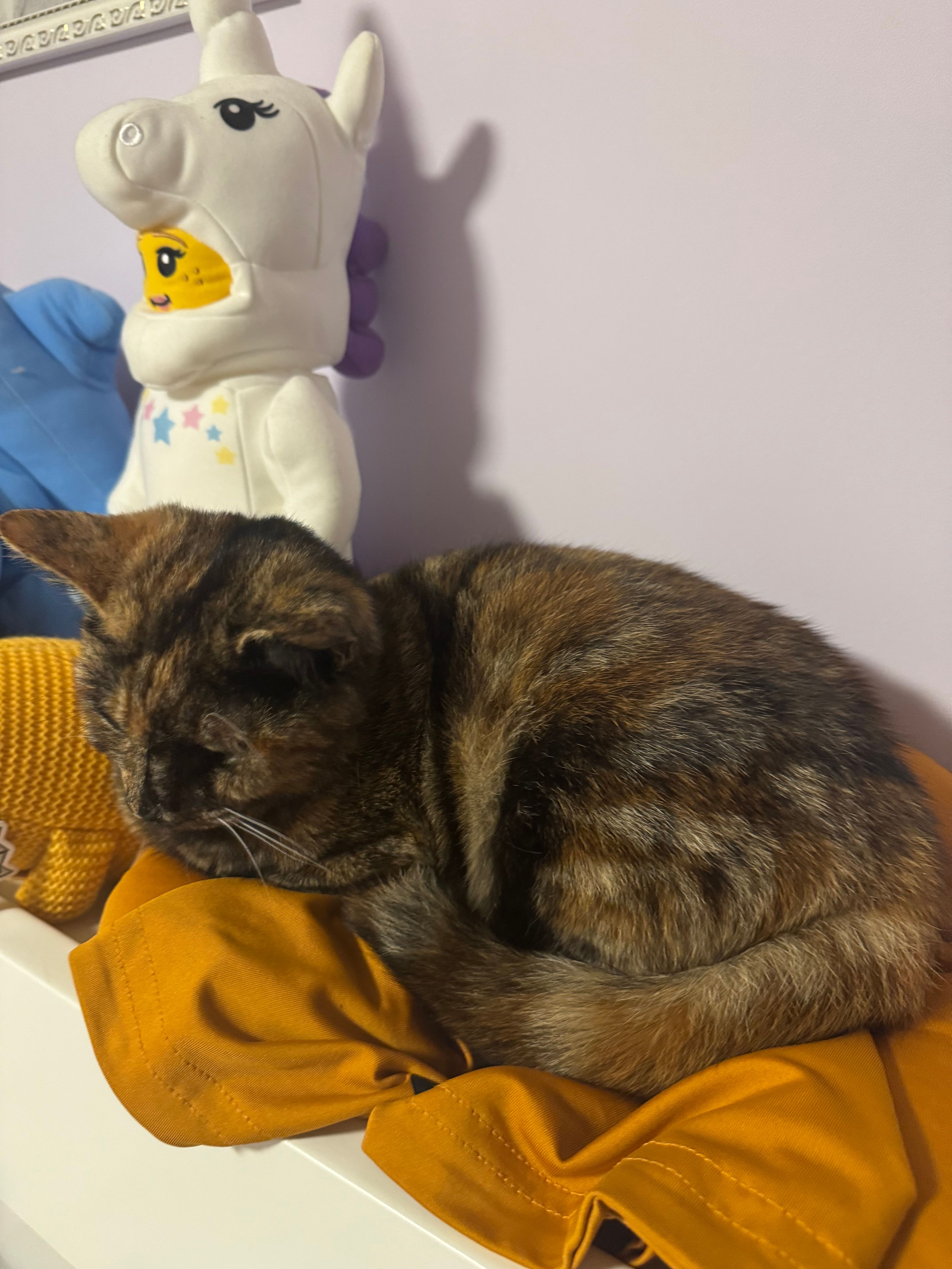 image-8