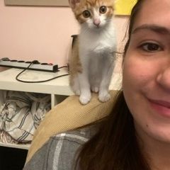 simba