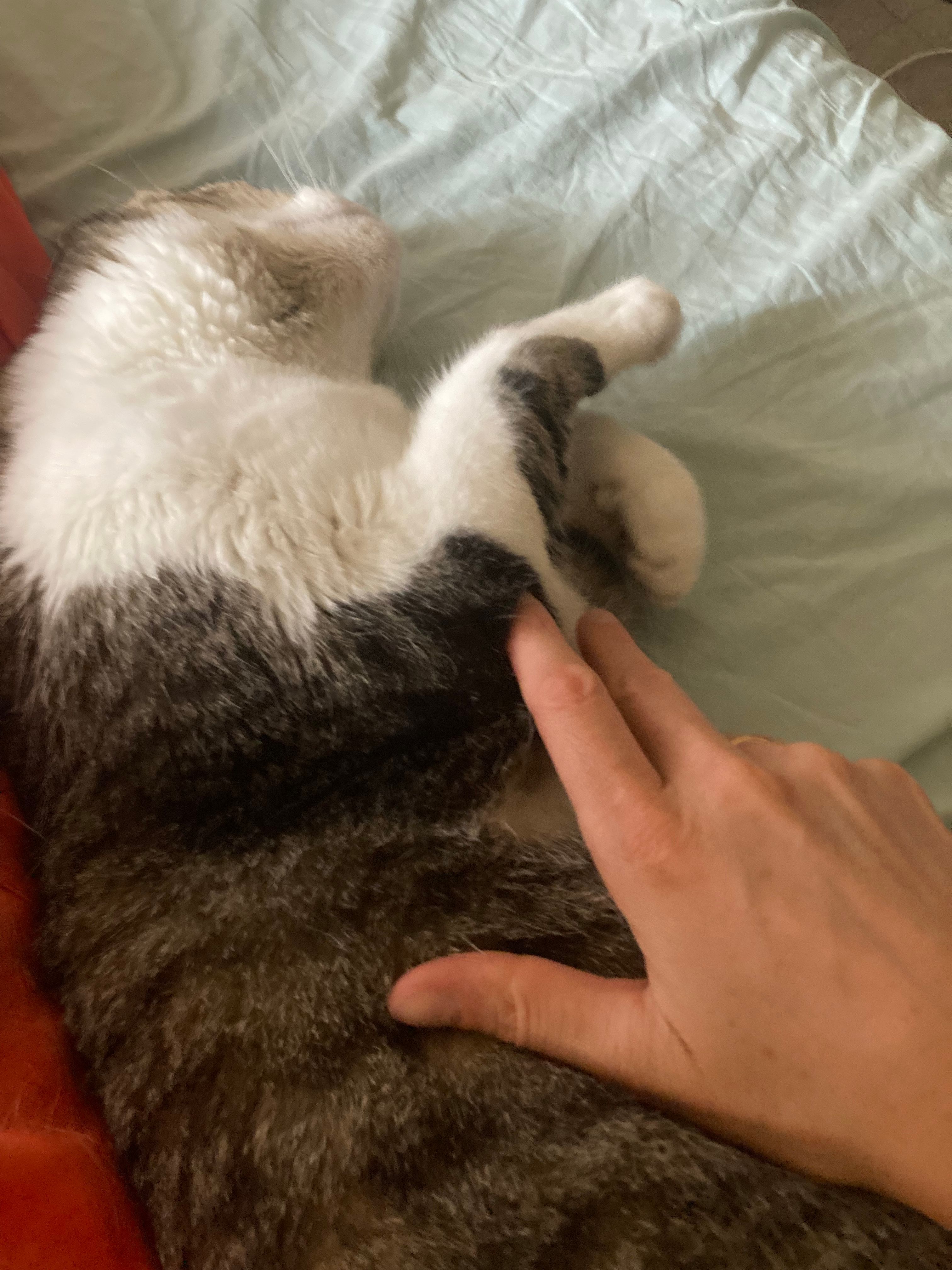 image-9