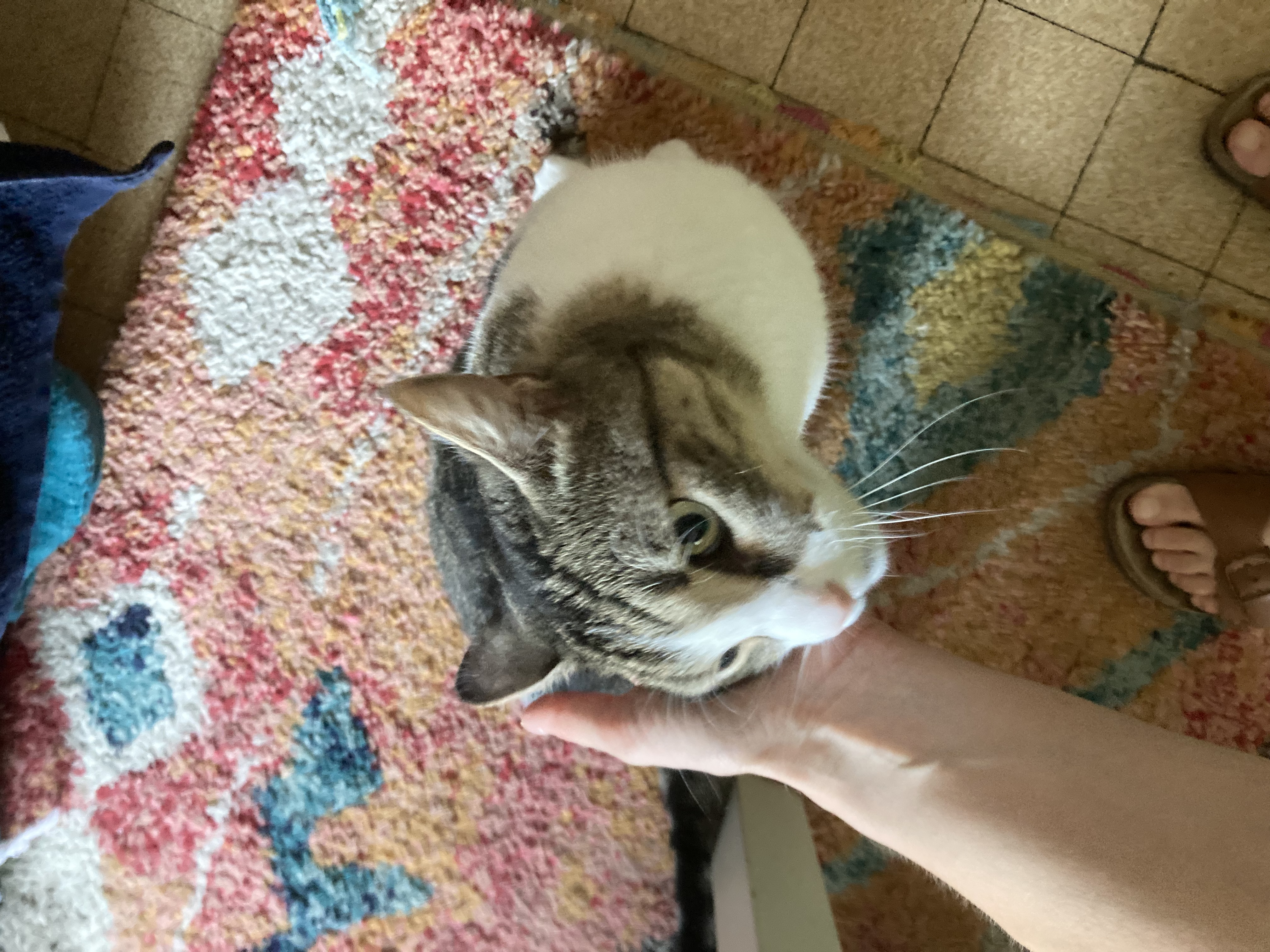 image-6