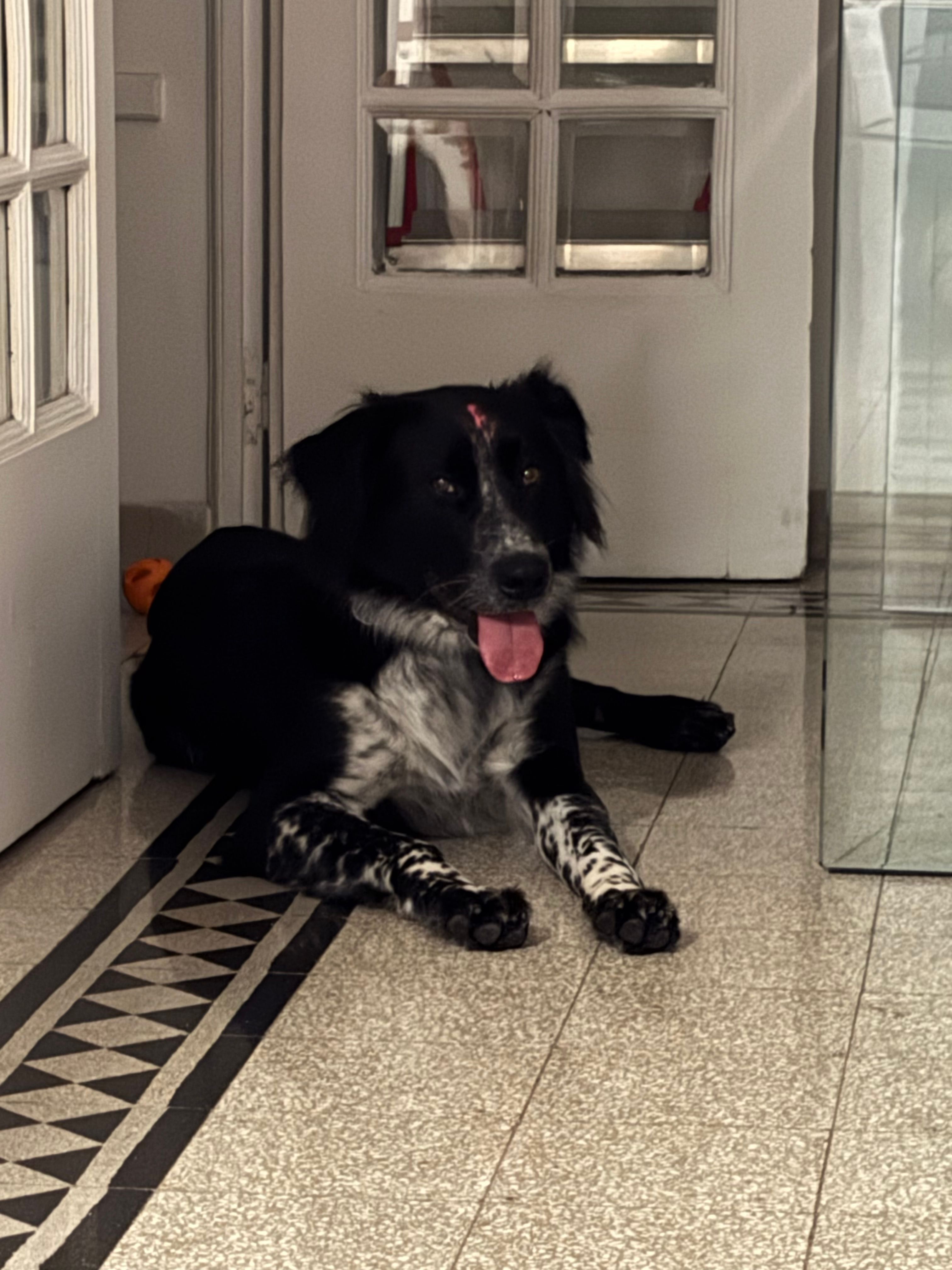 image-16