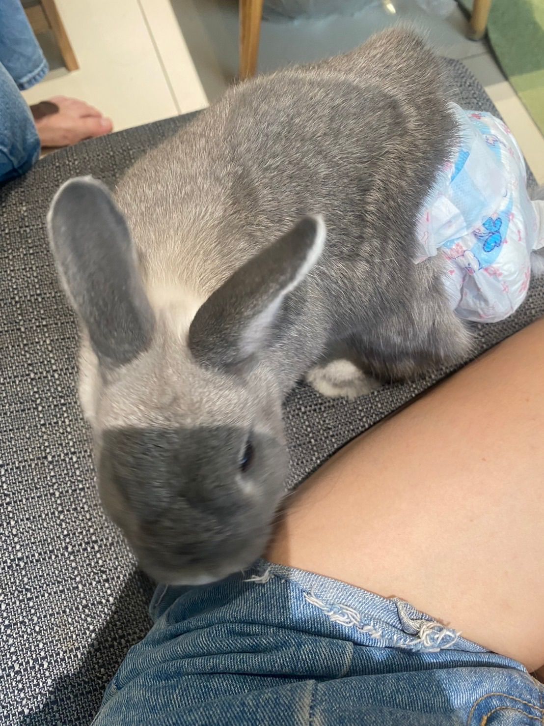 image-8