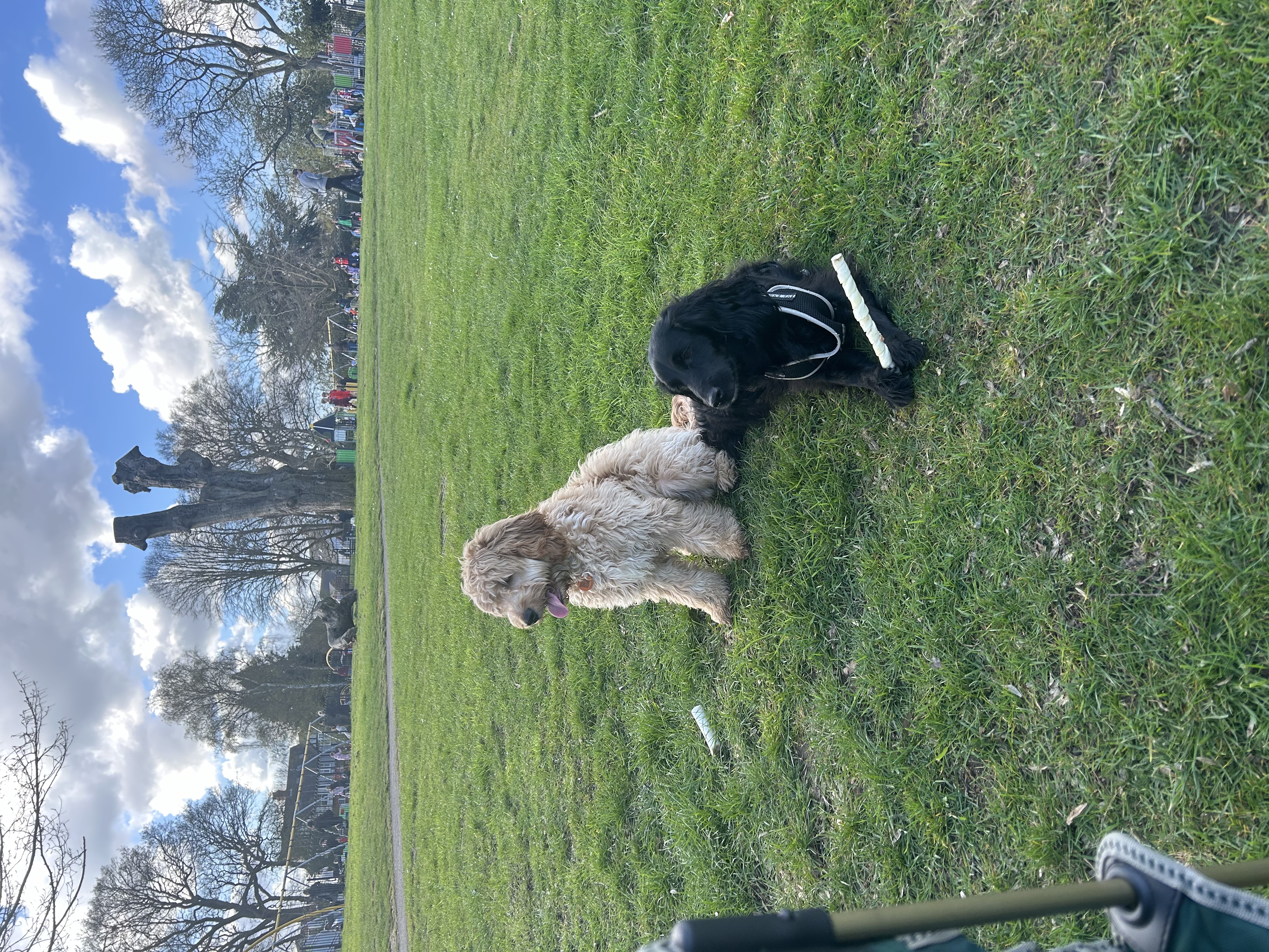 image-1