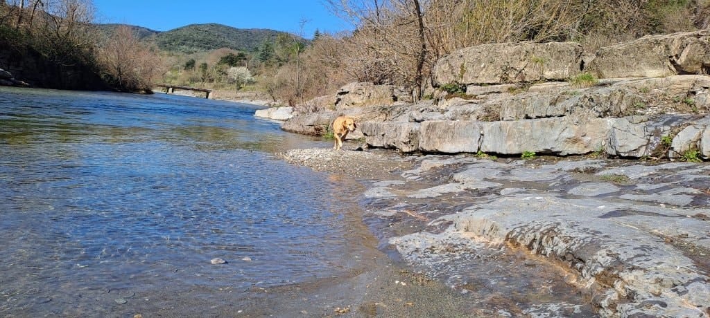 image-48