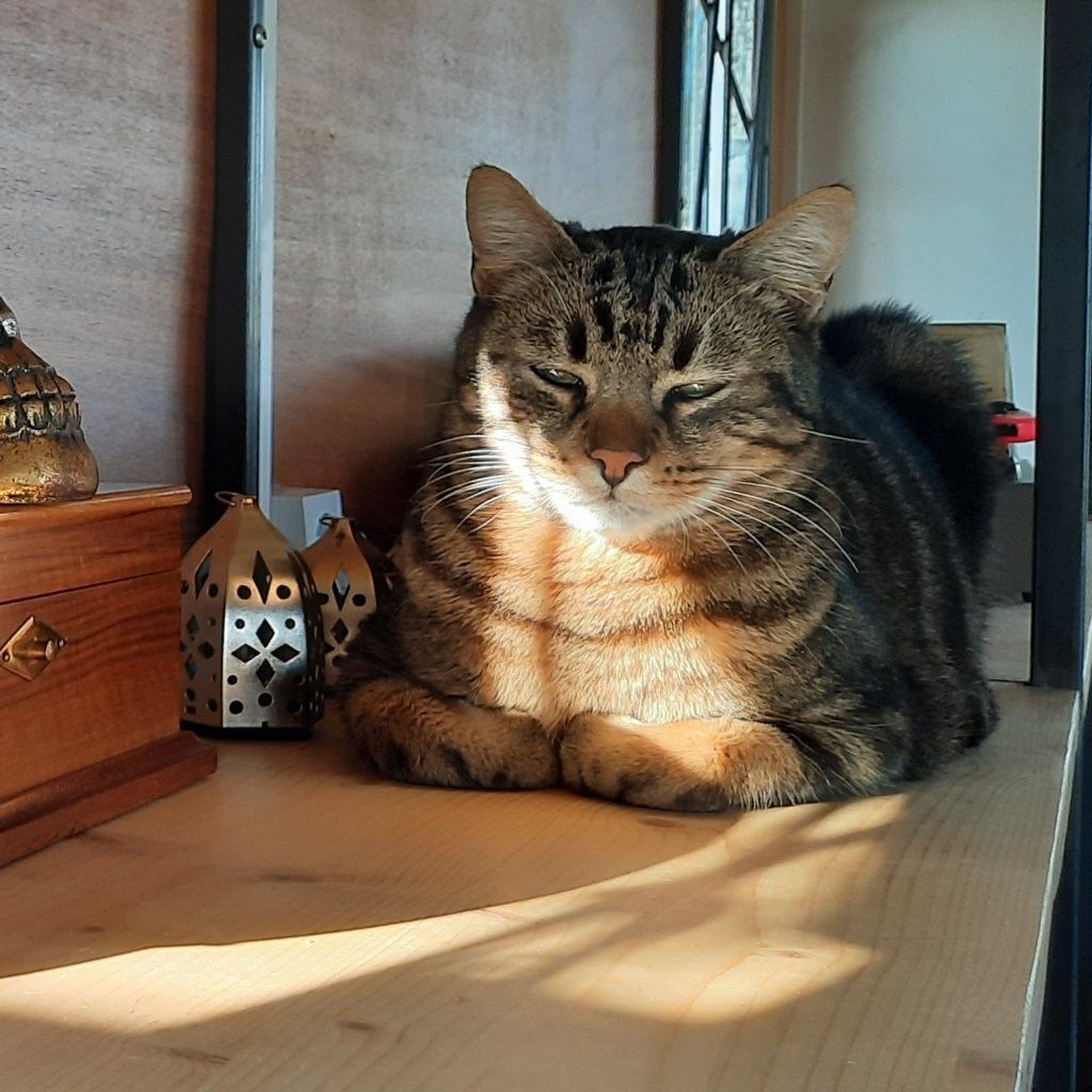 Poupou