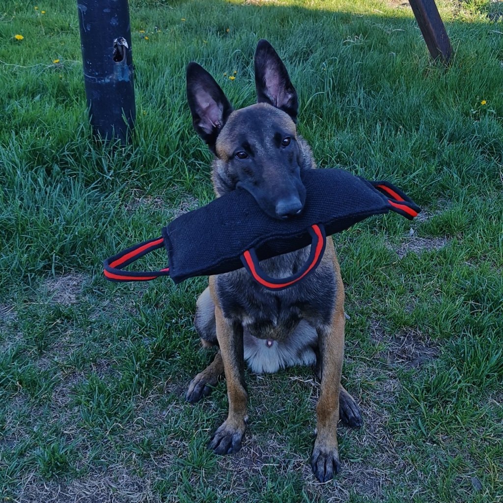 Pako Jr. Des Deux Sabres