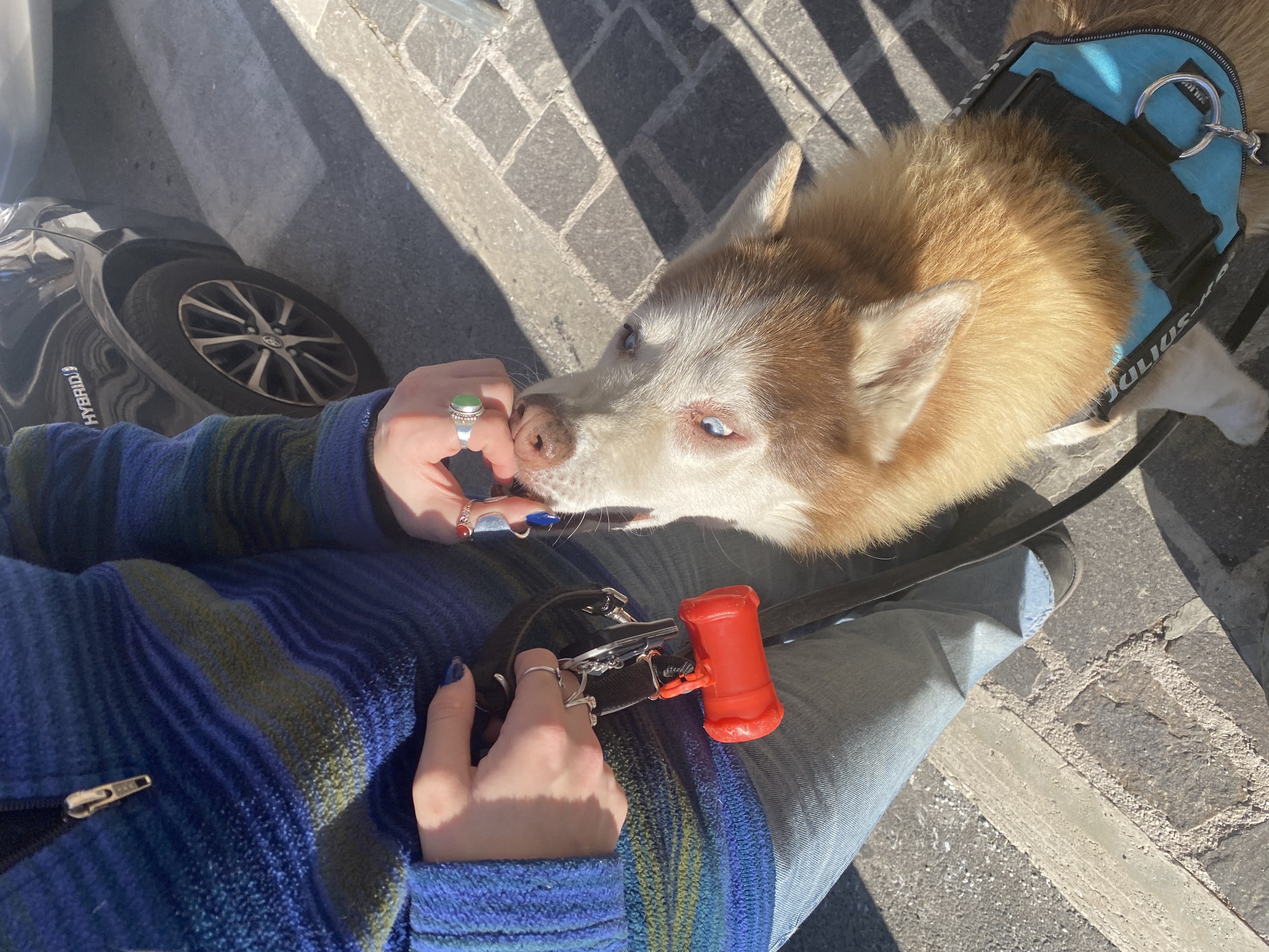 image-10