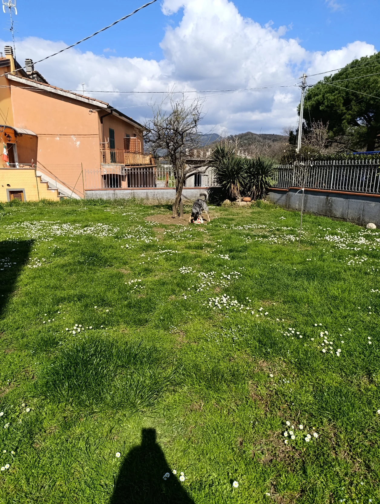 image-17