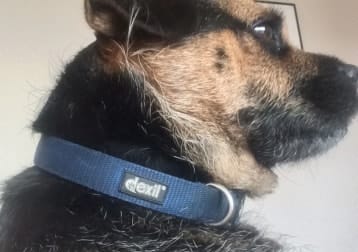 Milo