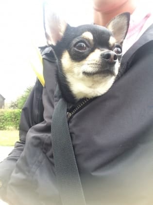image-3