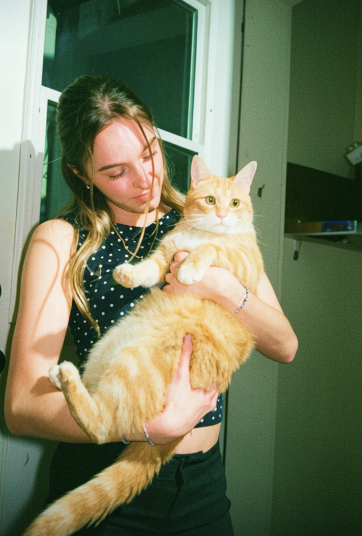 image-8