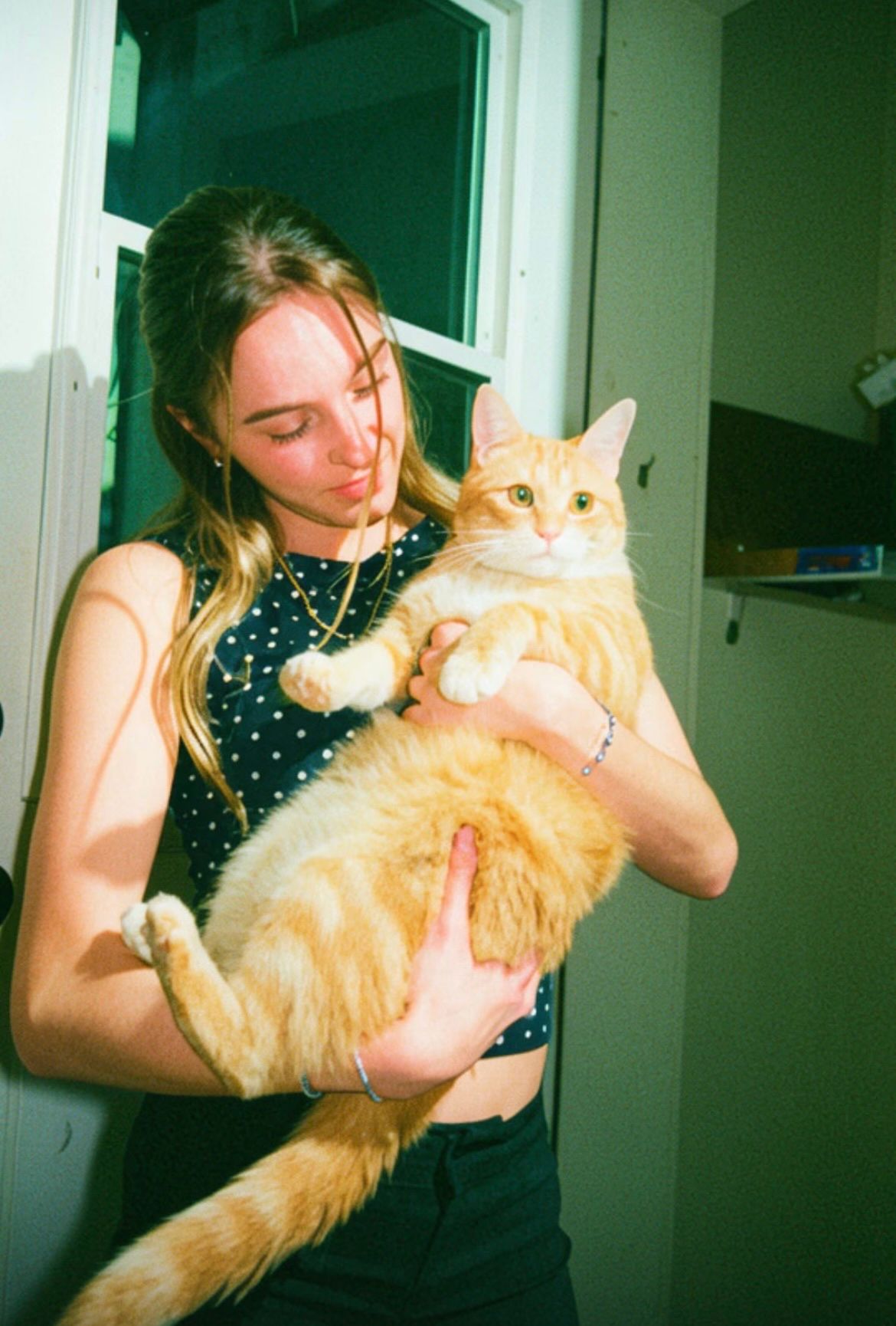 image-8