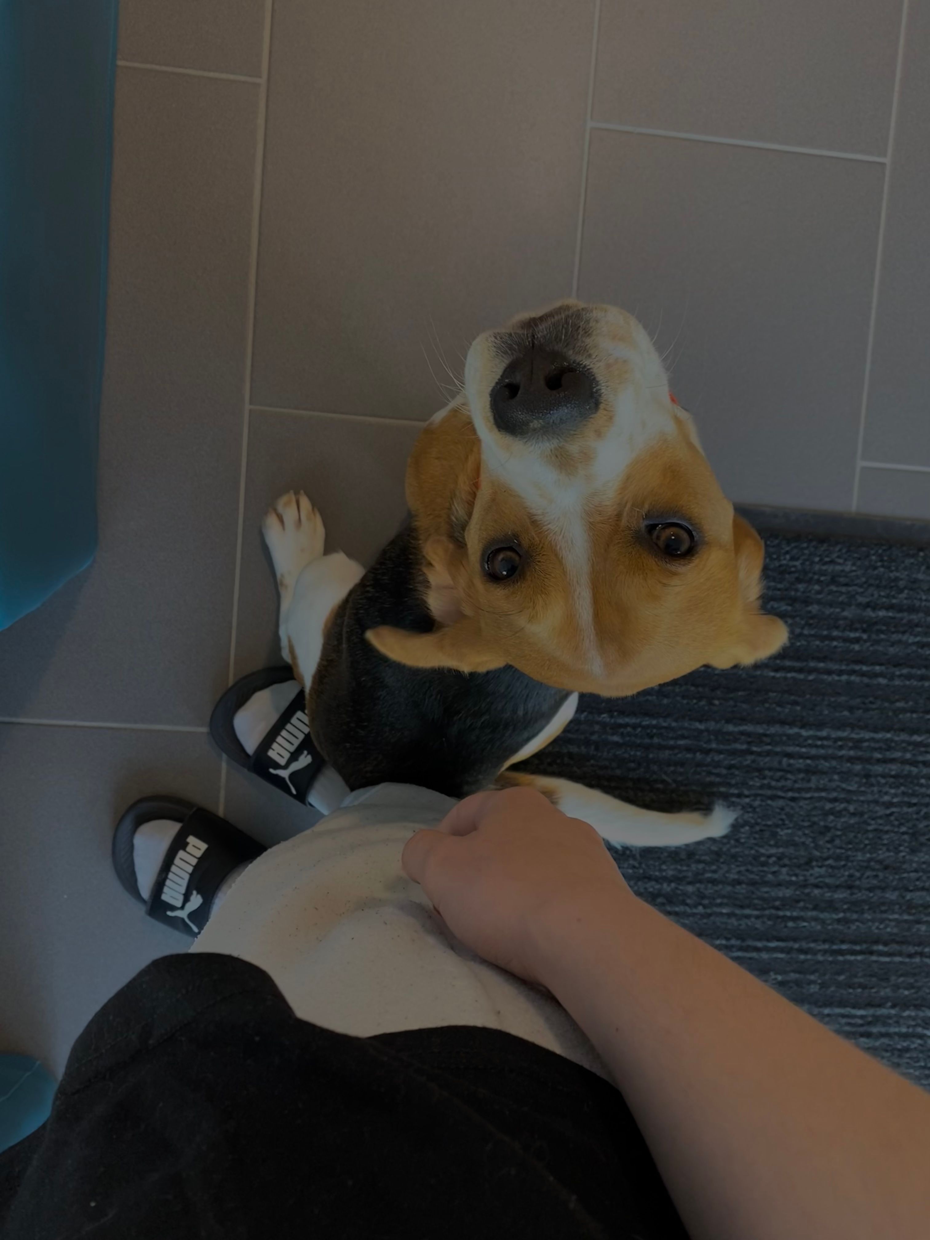 image-8