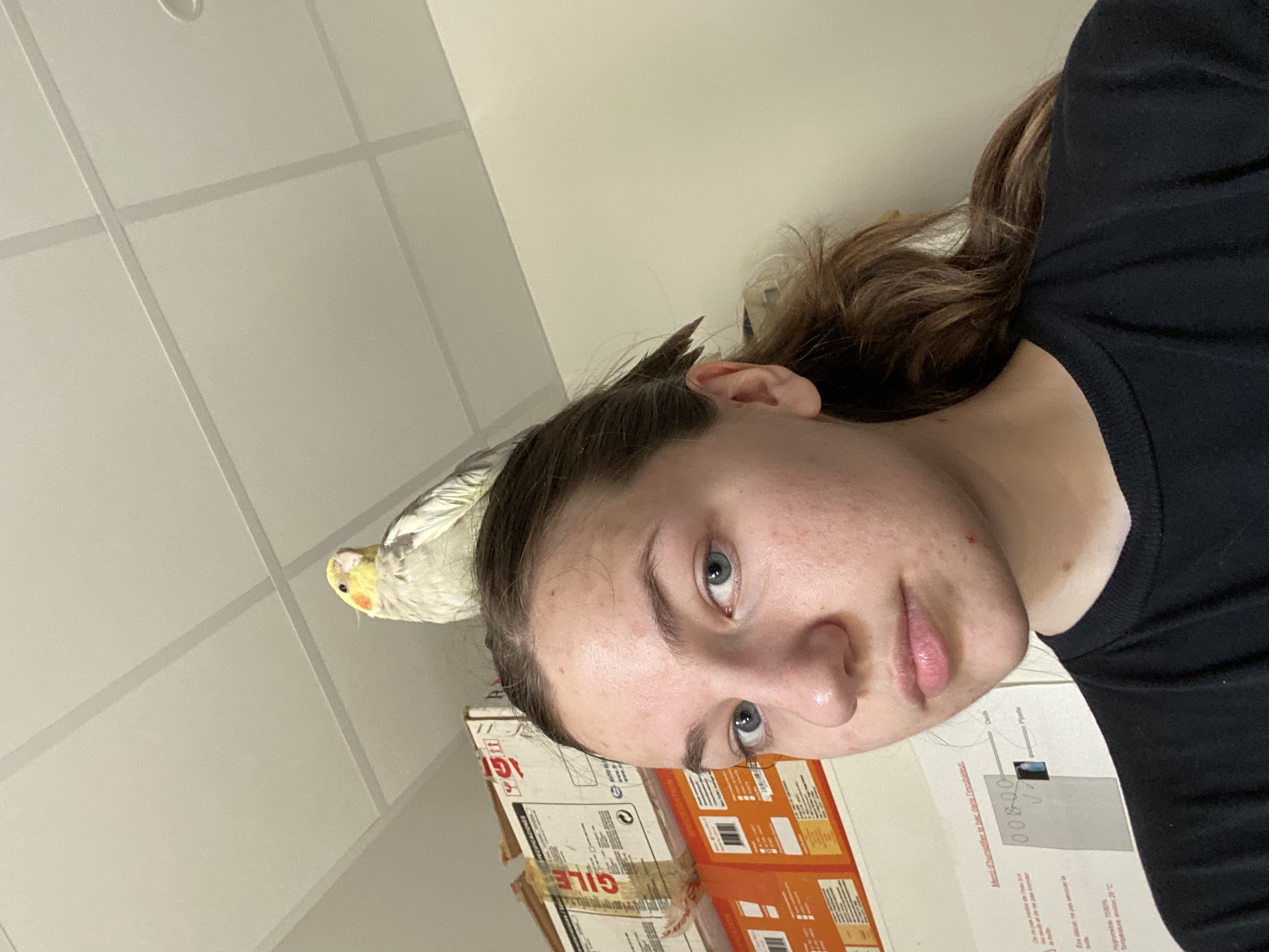 image-4