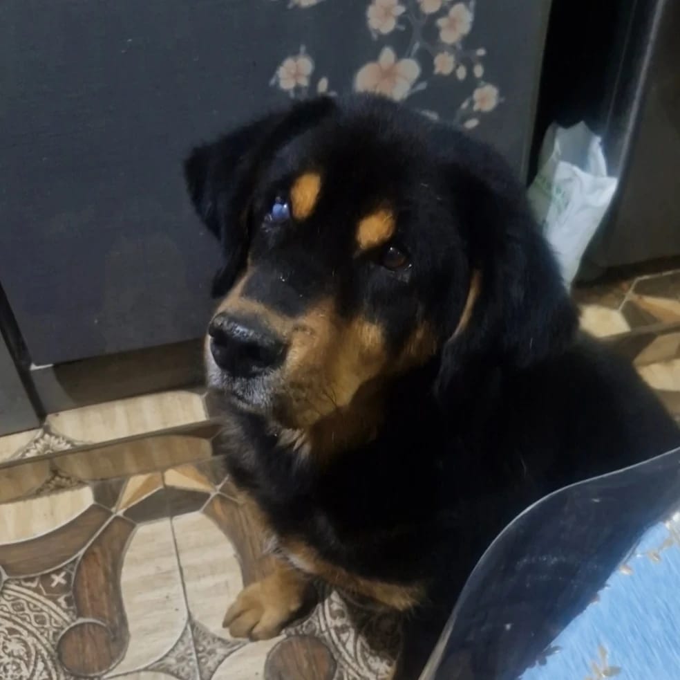 bhotu