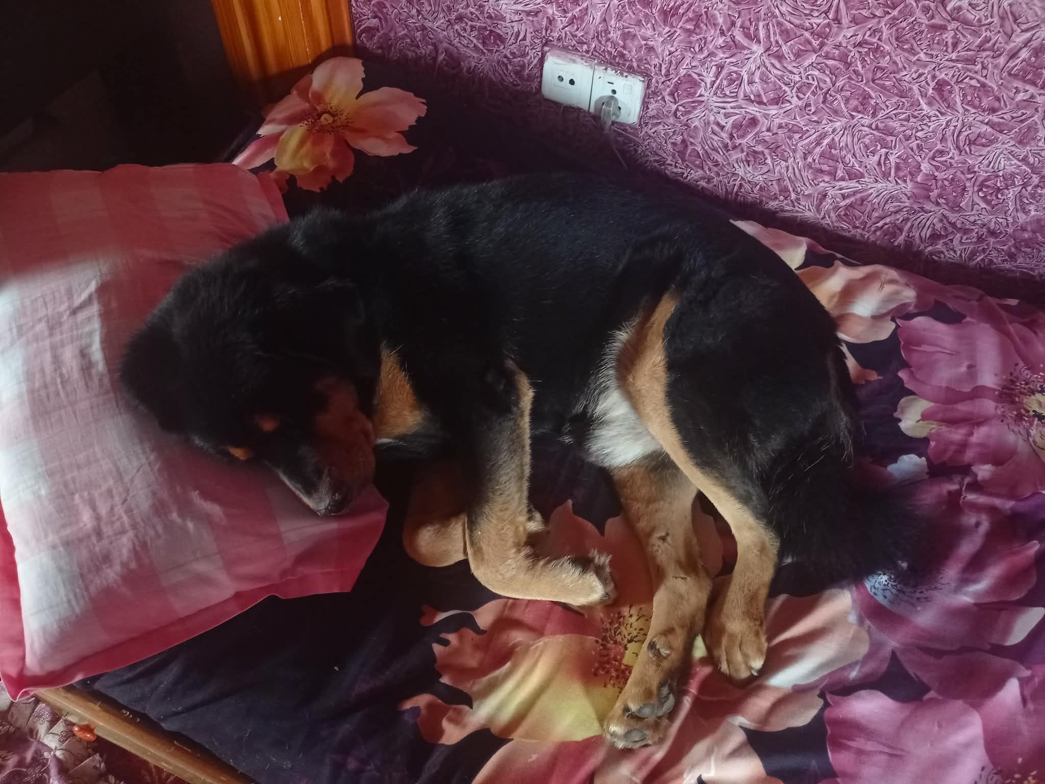 image-7