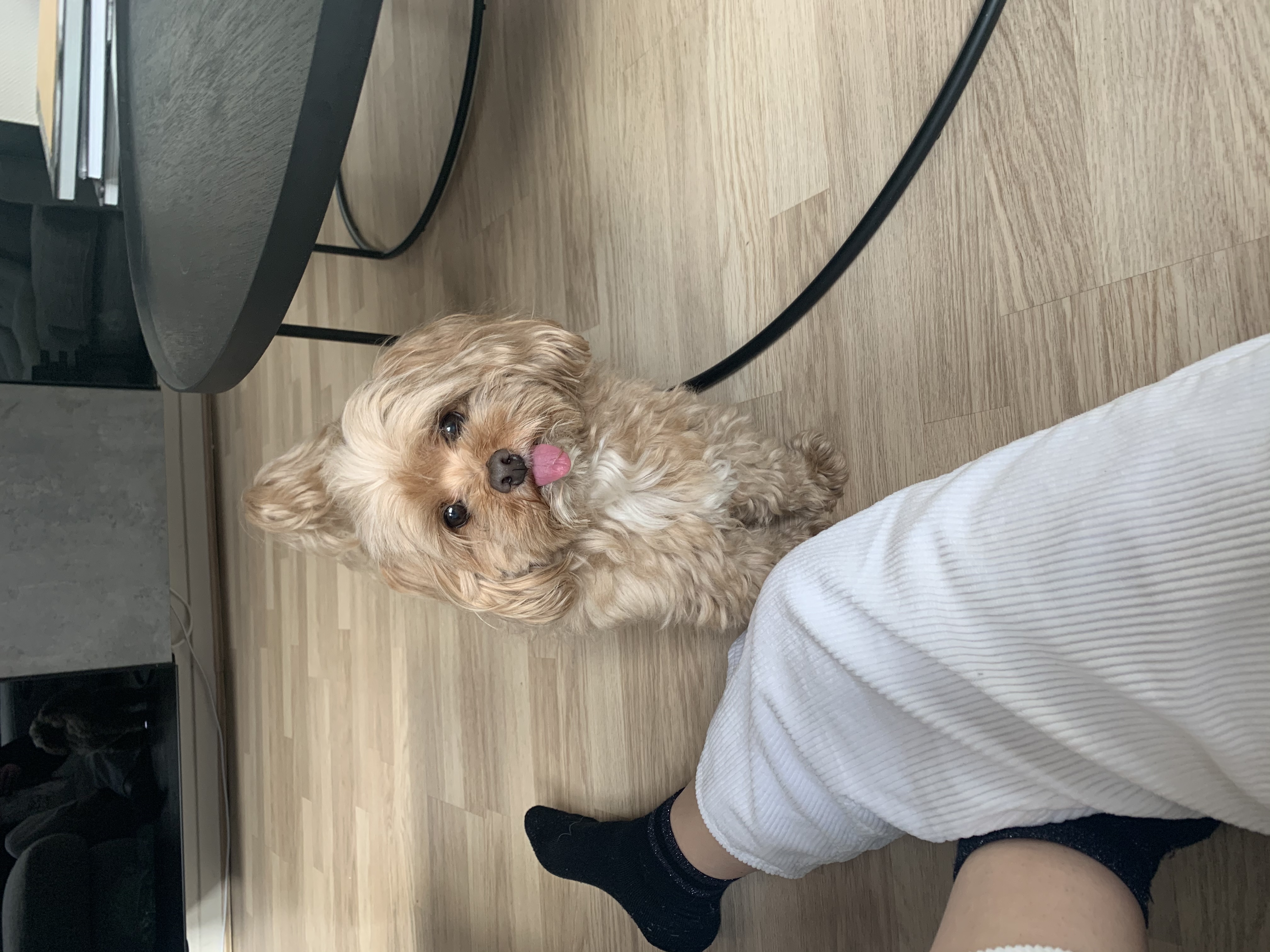 image-7