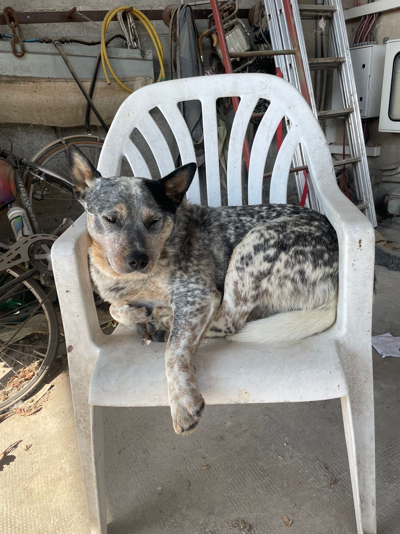 image-8