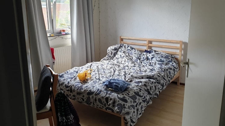 image-11