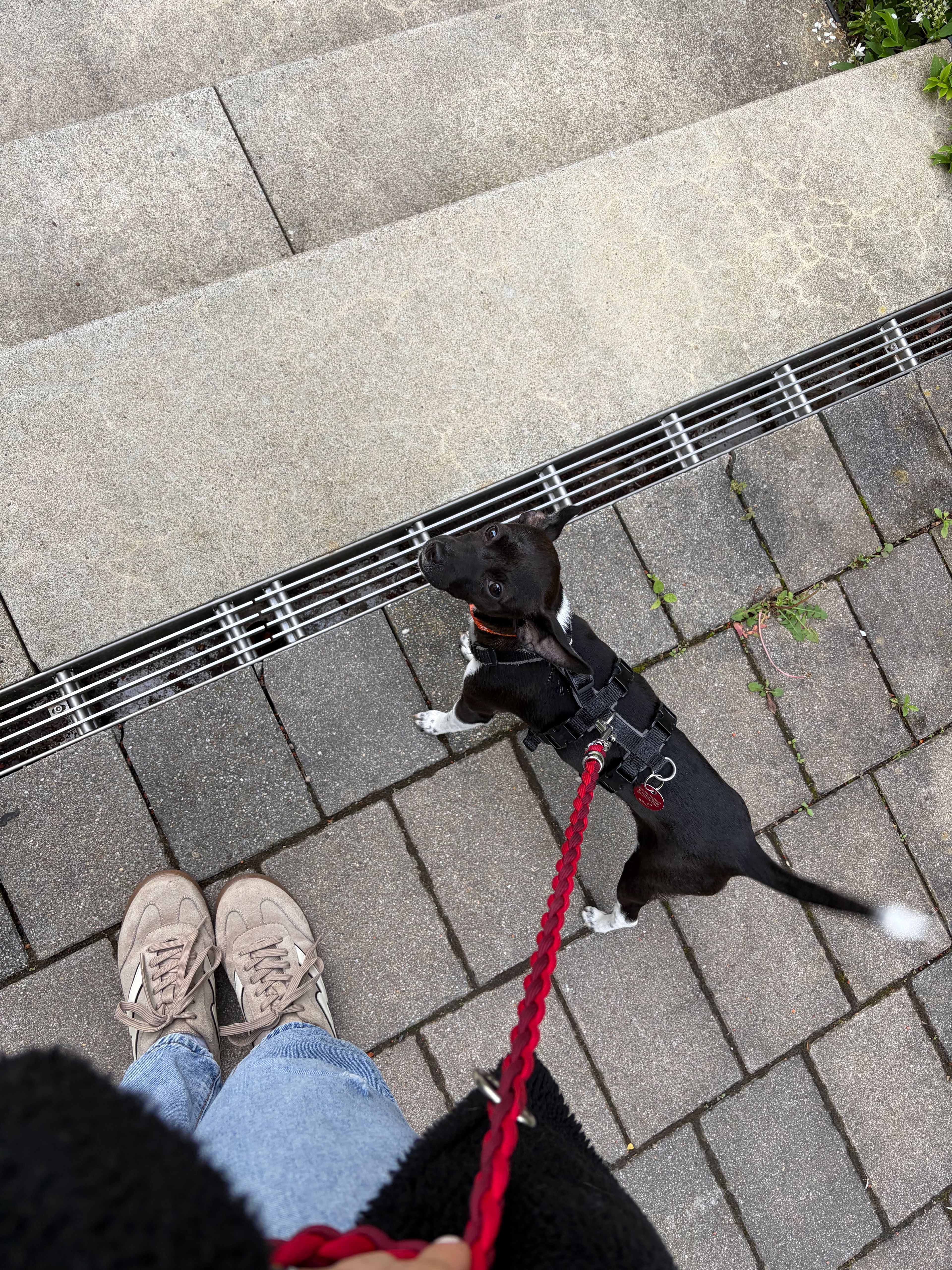 image-9