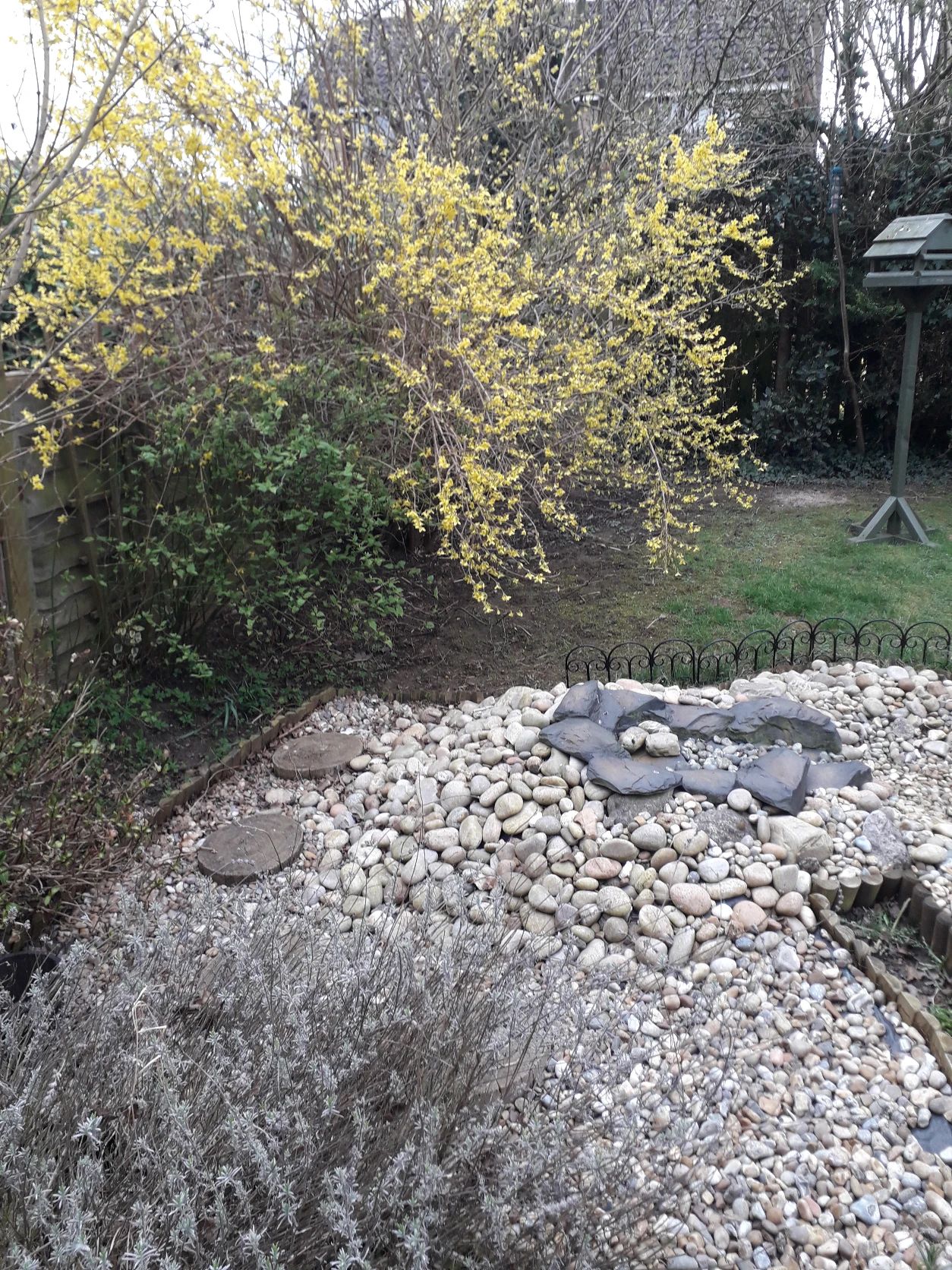 image-19
