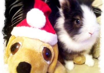 Winston And Bella
